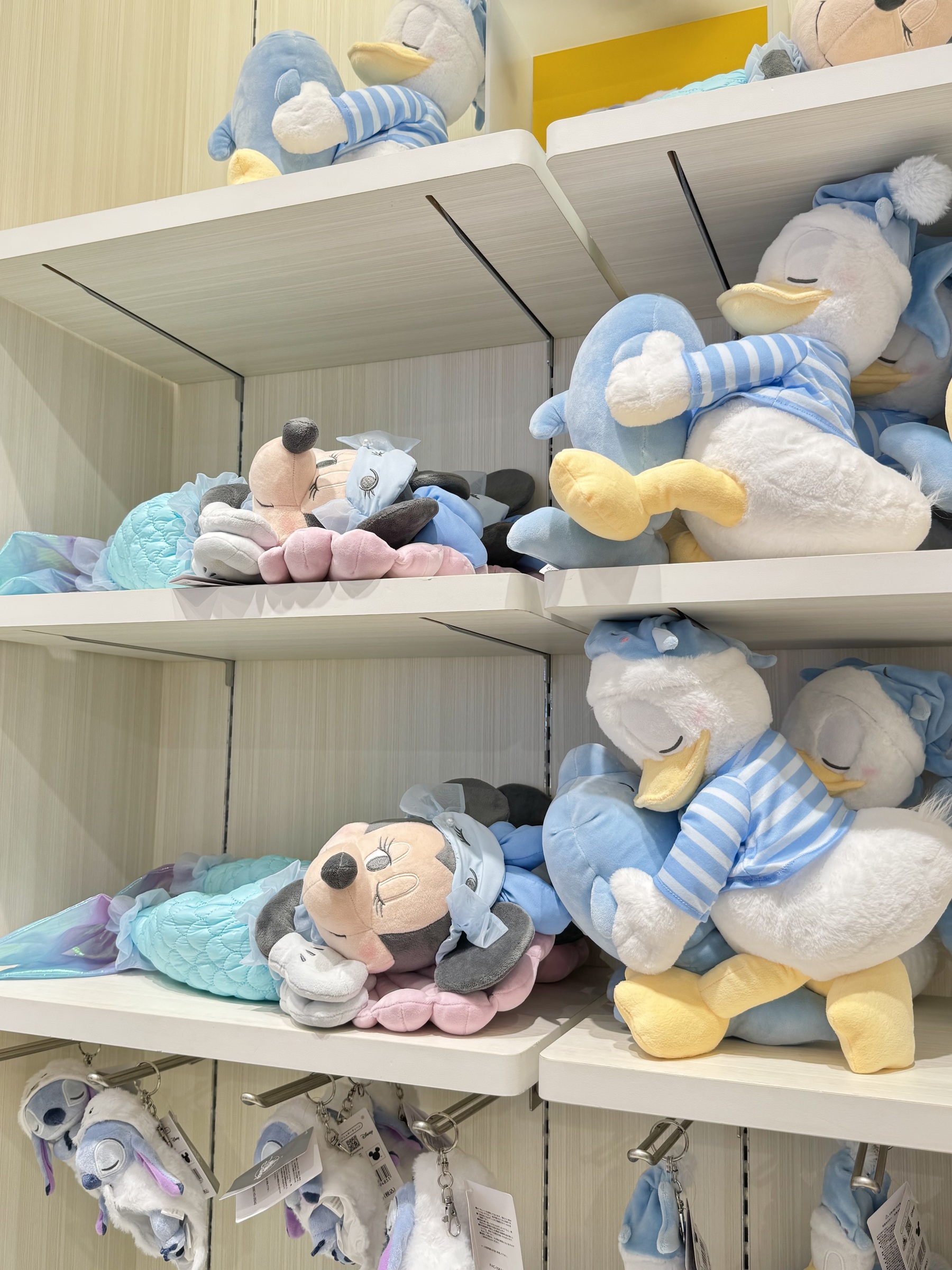 image_CF4C6D5C-4F32-454E-948B-789BC9D63504_1783786403