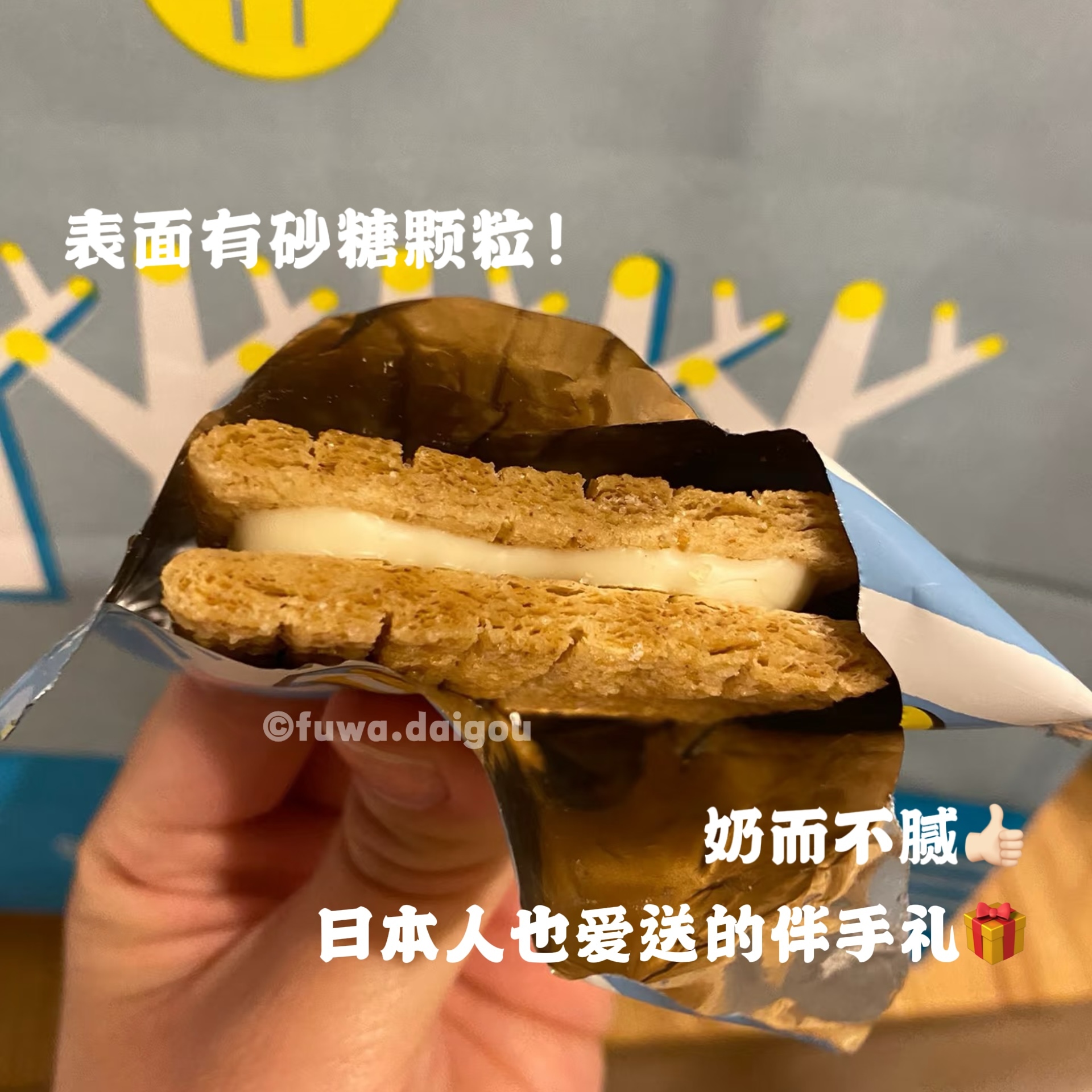 IMG_2613-1730643984062