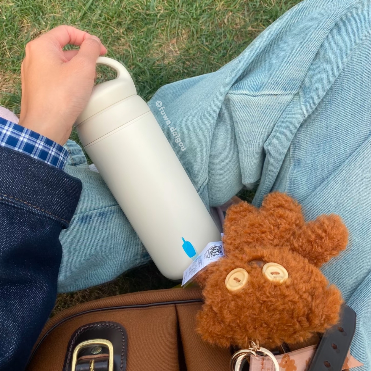 IMG_1036-1732896472754