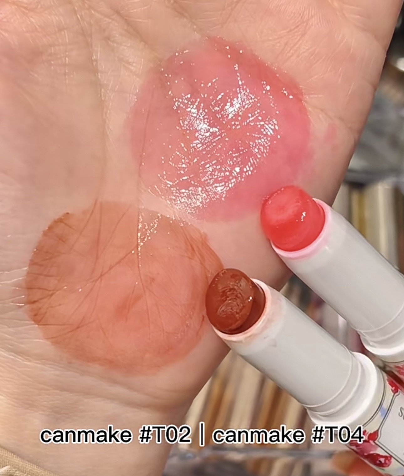 IMG_4250-1733076289744