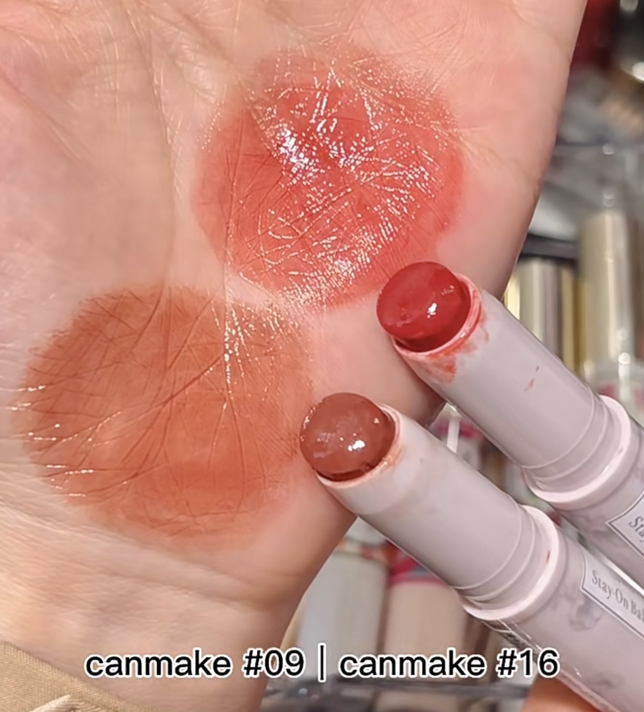 IMG_4252-1733076289748