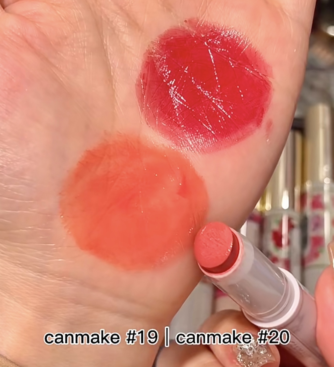 IMG_4253-1733076289755