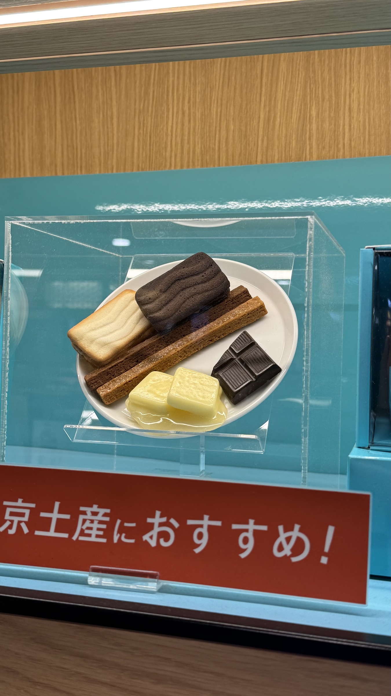 IMG_5906-1733835713049