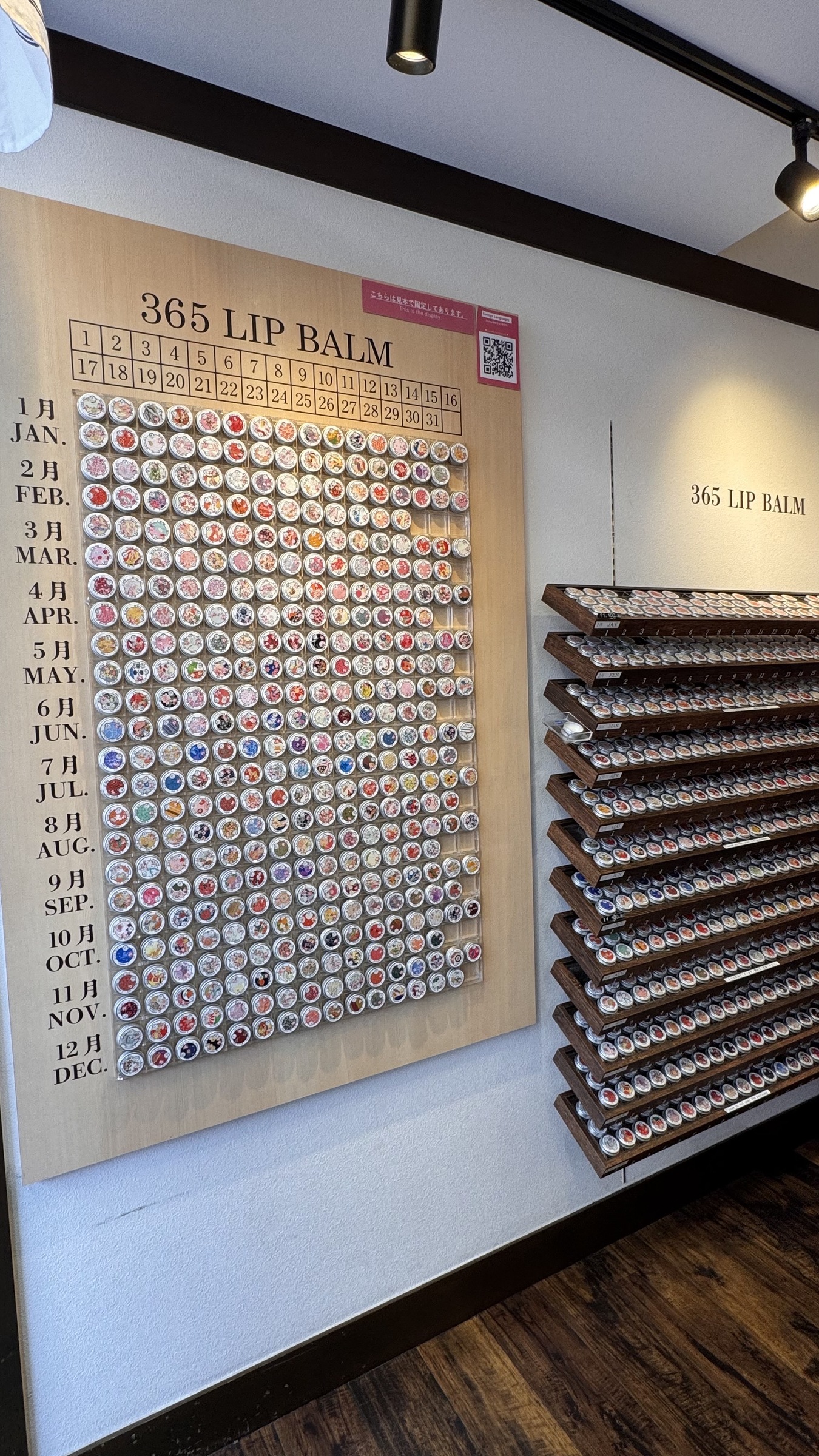 IMG_0888-1734152202358