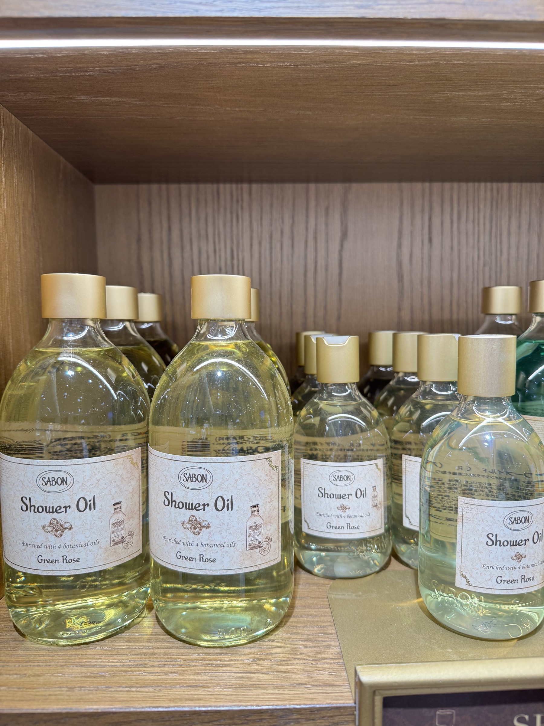 IMG_6684-1735543908910