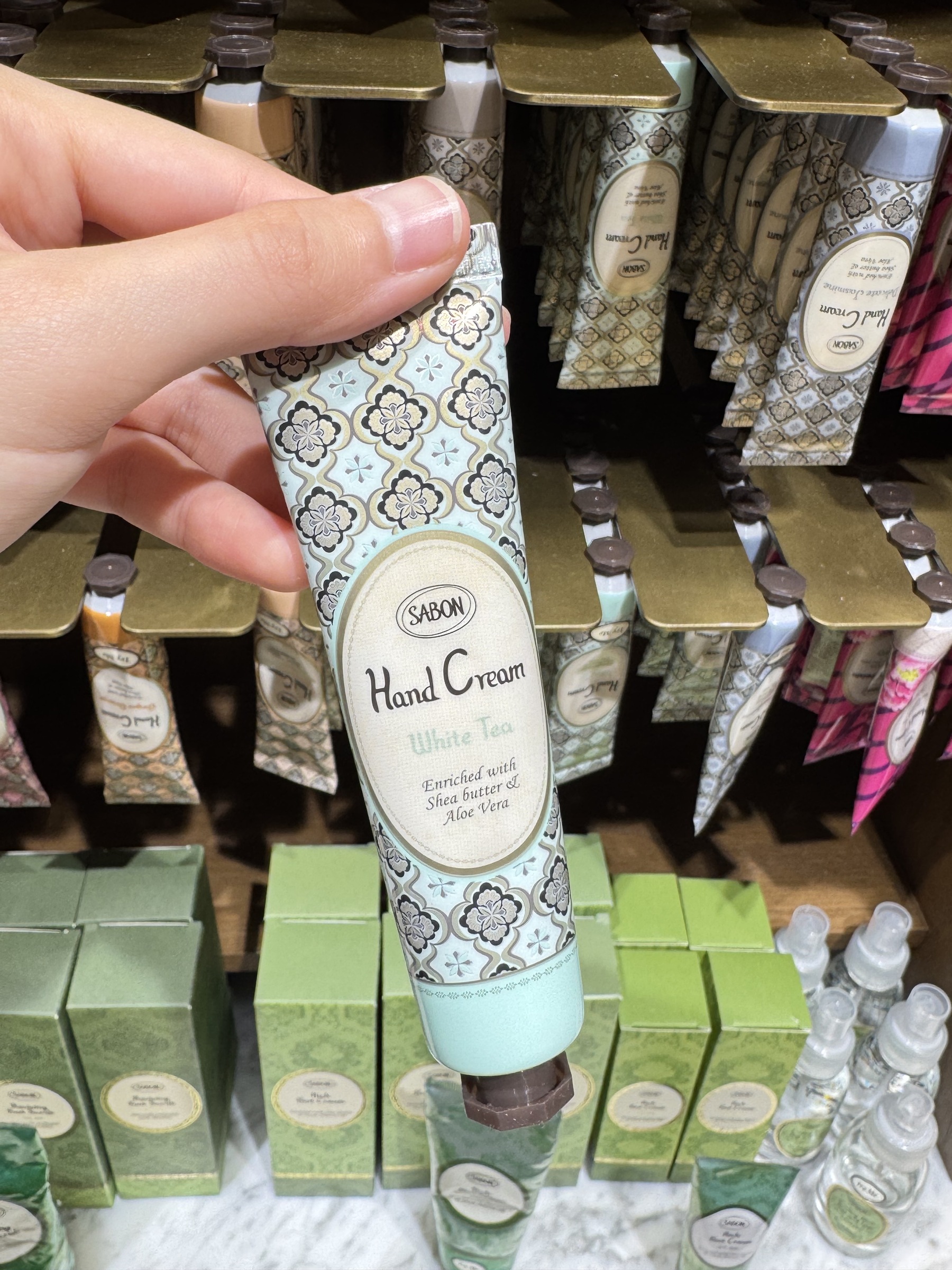 IMG_6699-1735544668729