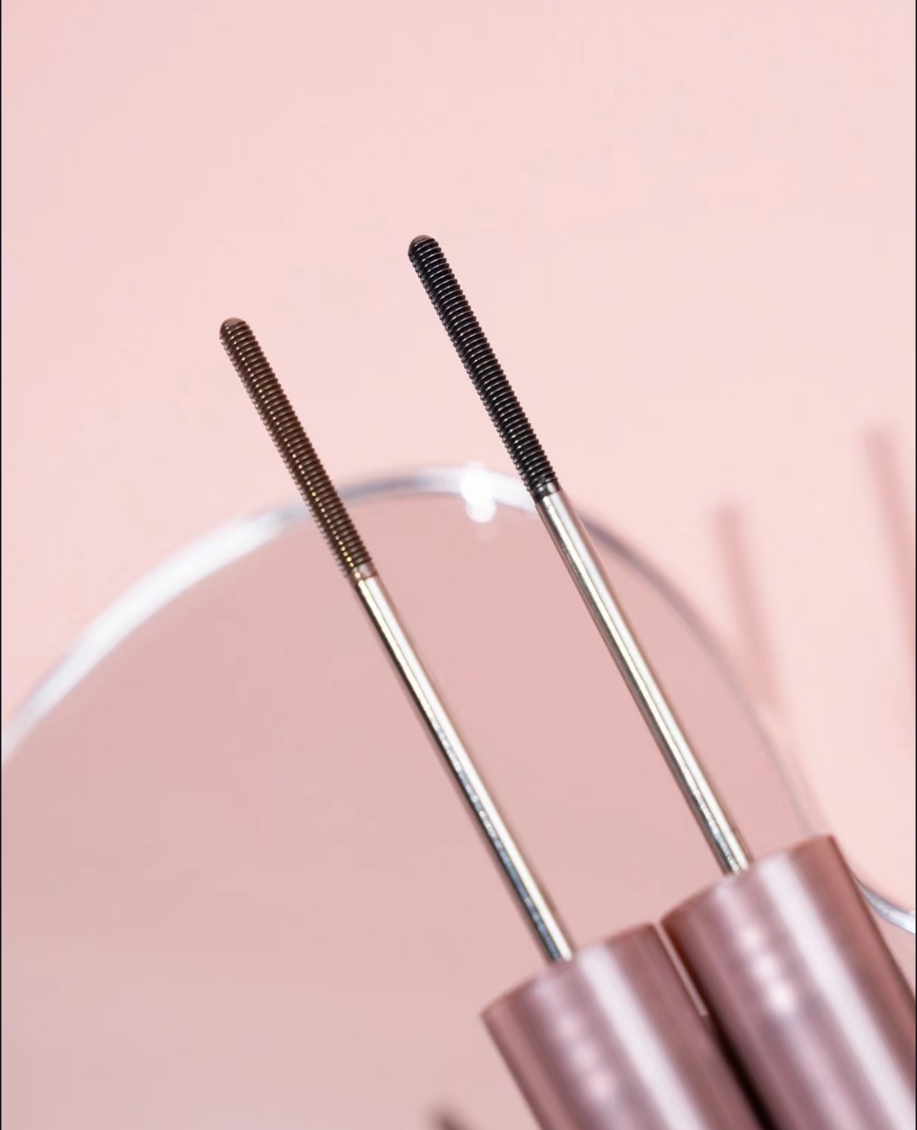 IMG_7634-1735618334149