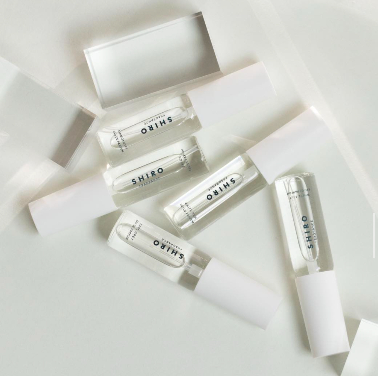 IMG_1860-1739803816130