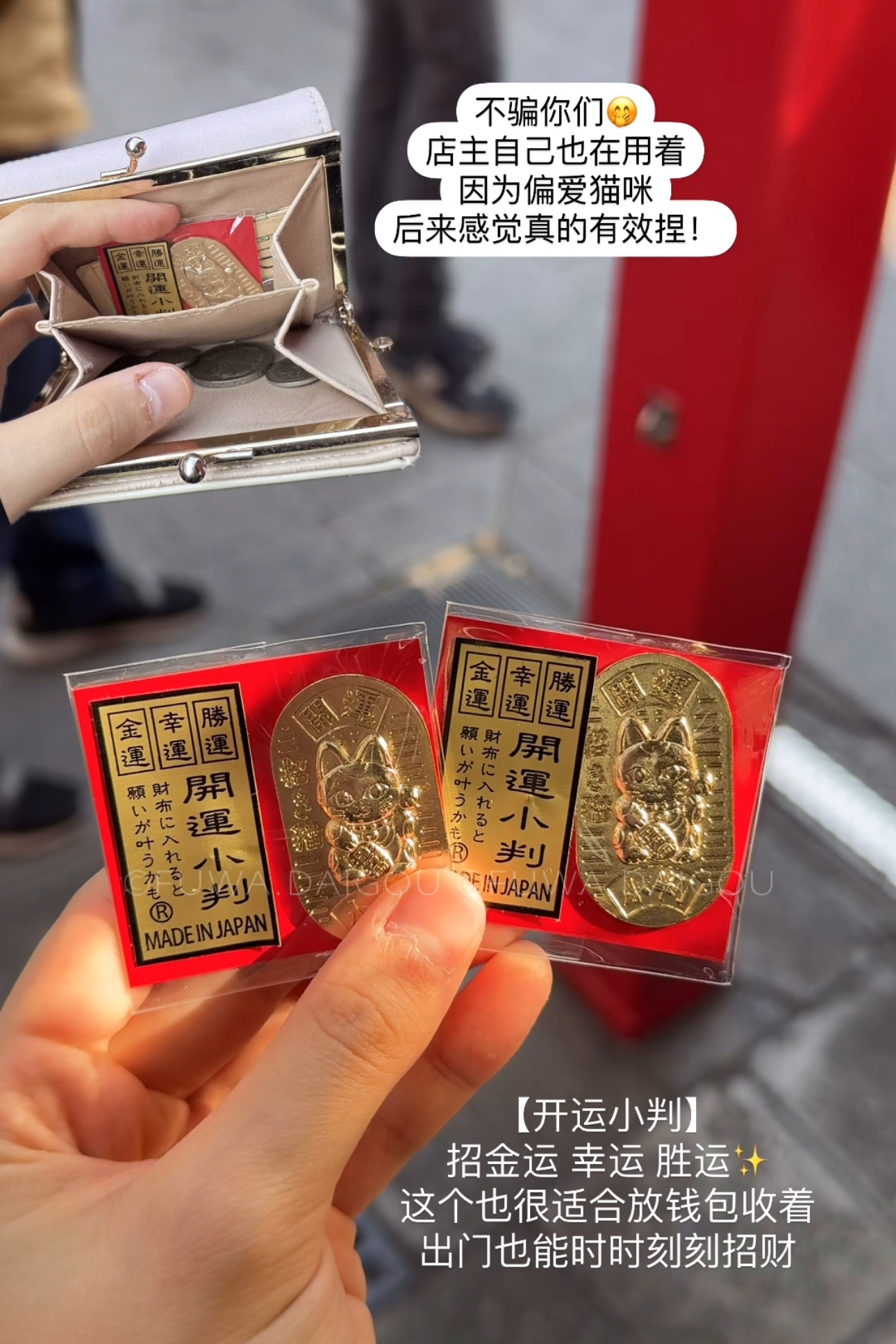 IMG_5249-1740737465830