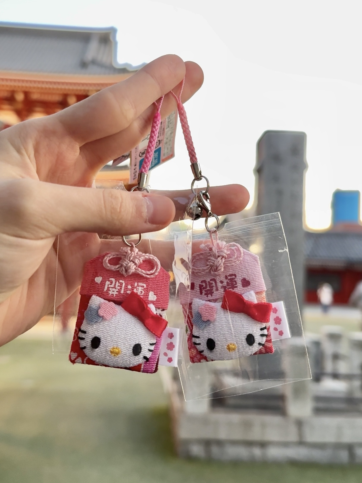 IMG_5255-1740738207171