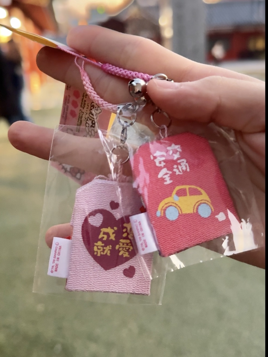 IMG_5256-1740738338358