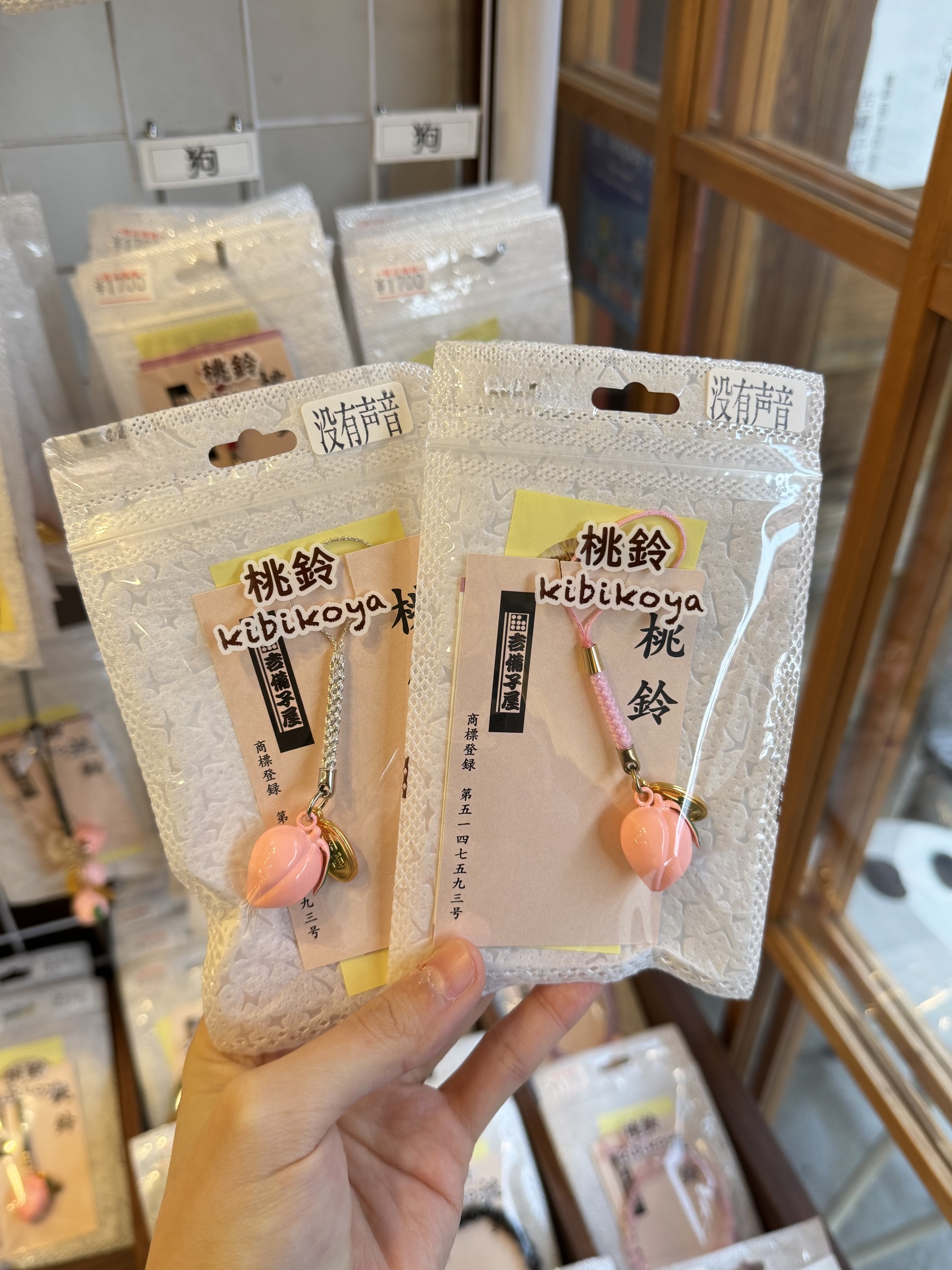 IMG_5210-1740740646584