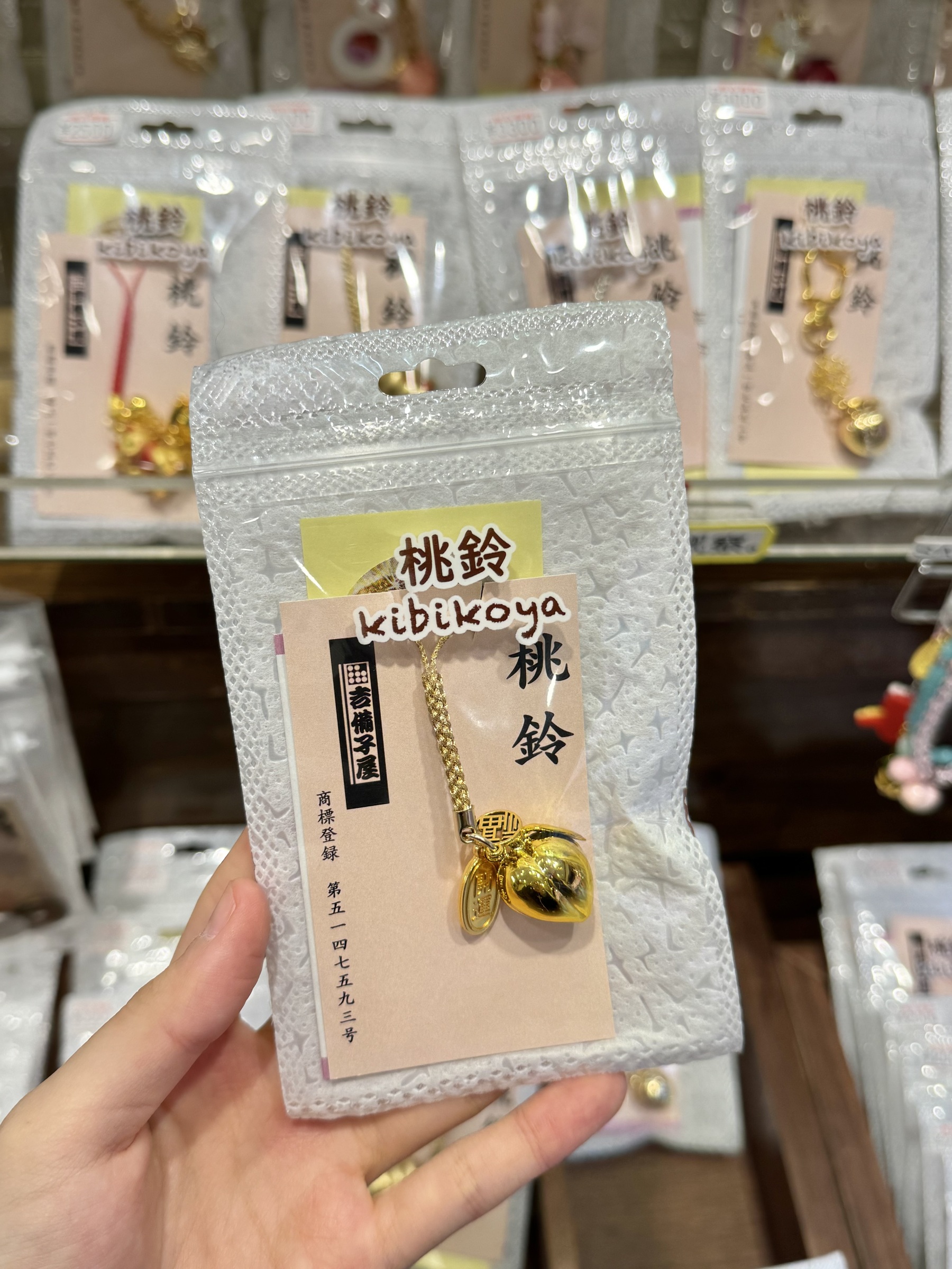 IMG_5213-1740742876173