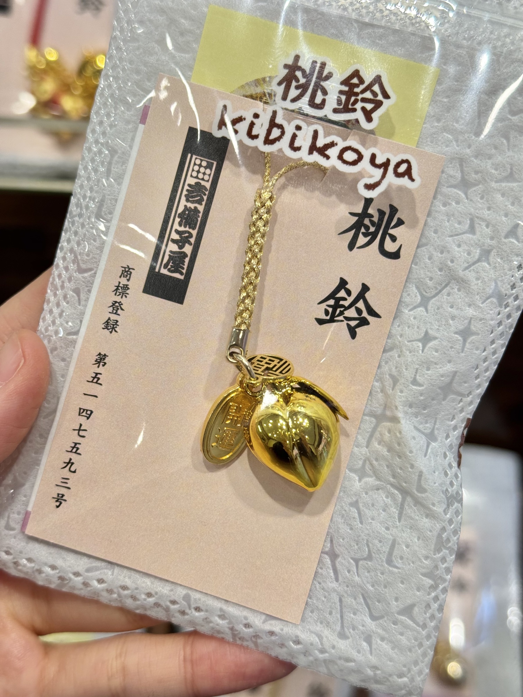 IMG_5214-1740742875951