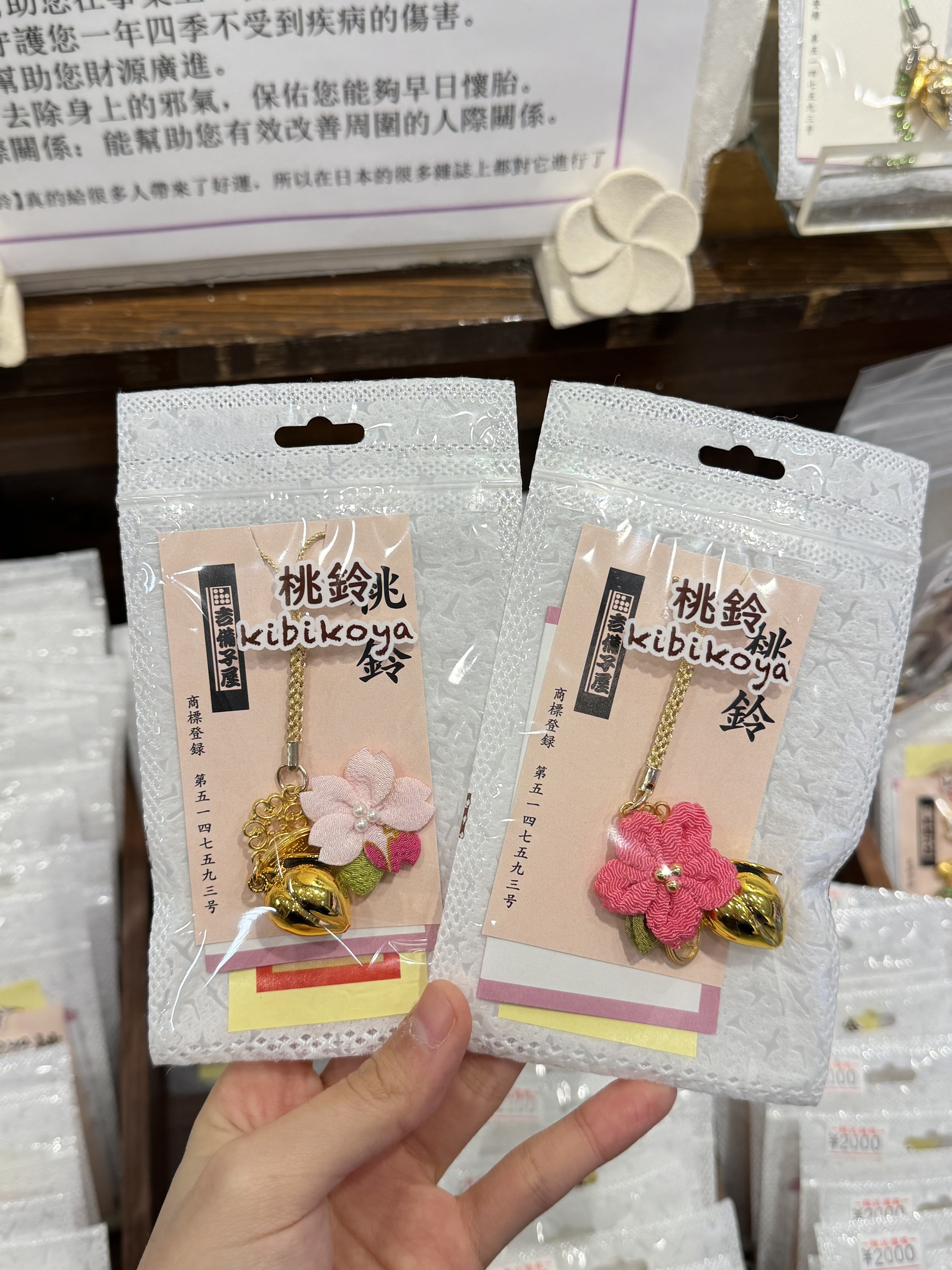 IMG_5220-1740743287033