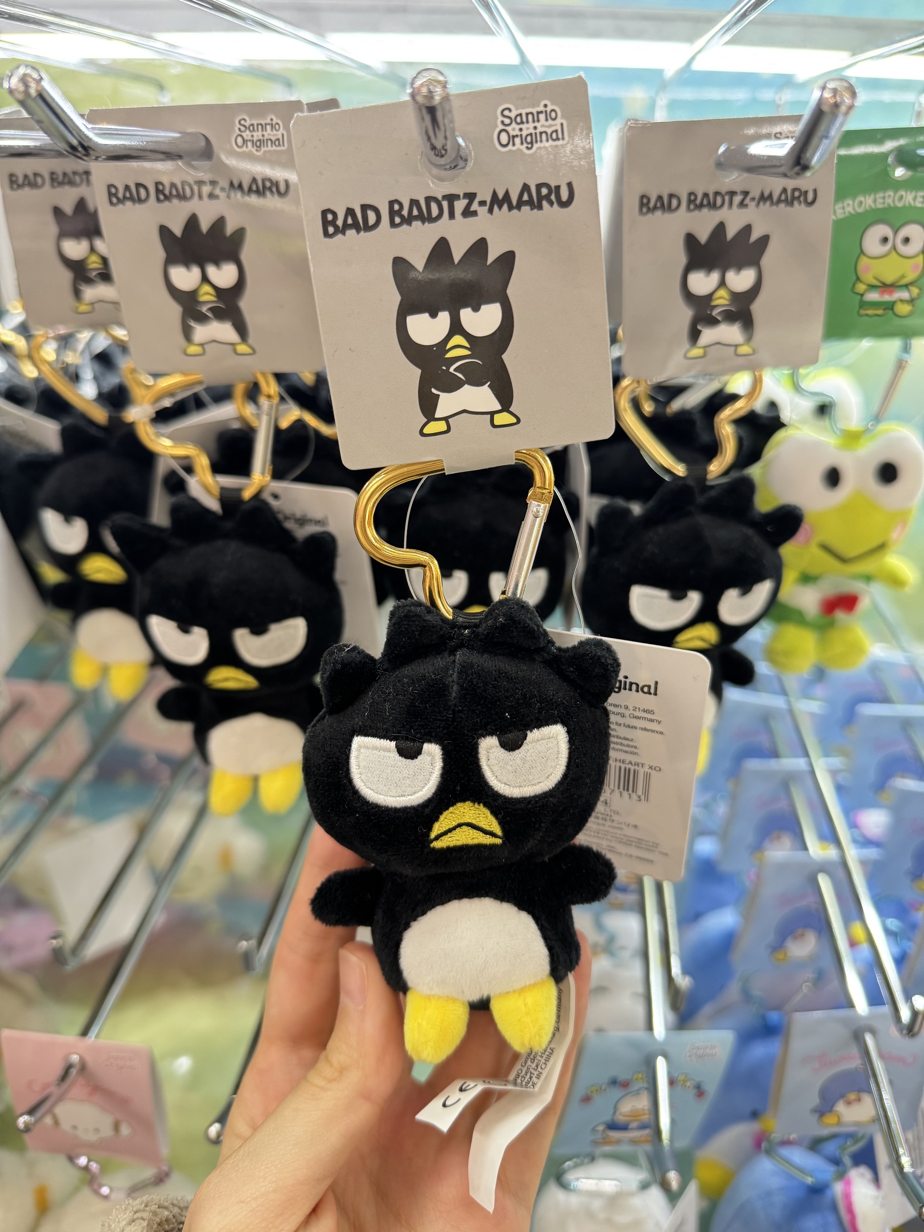 image_6190044A-D2E0-4DA8-91C1-DE6B183A74ED_1740994728