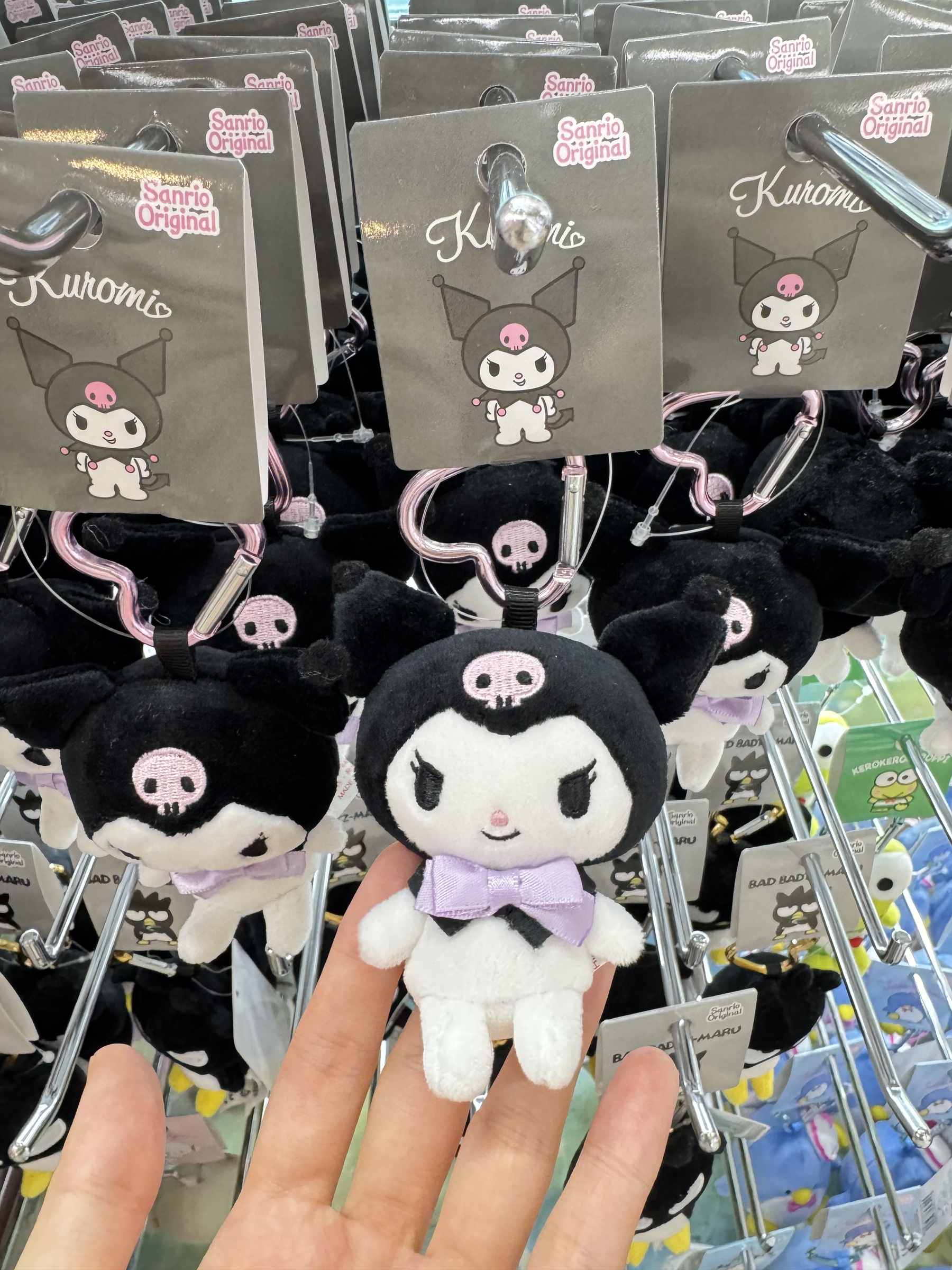 image_F45678B1-F85C-4C54-88CC-4C8C4CDAF49F_1740994728