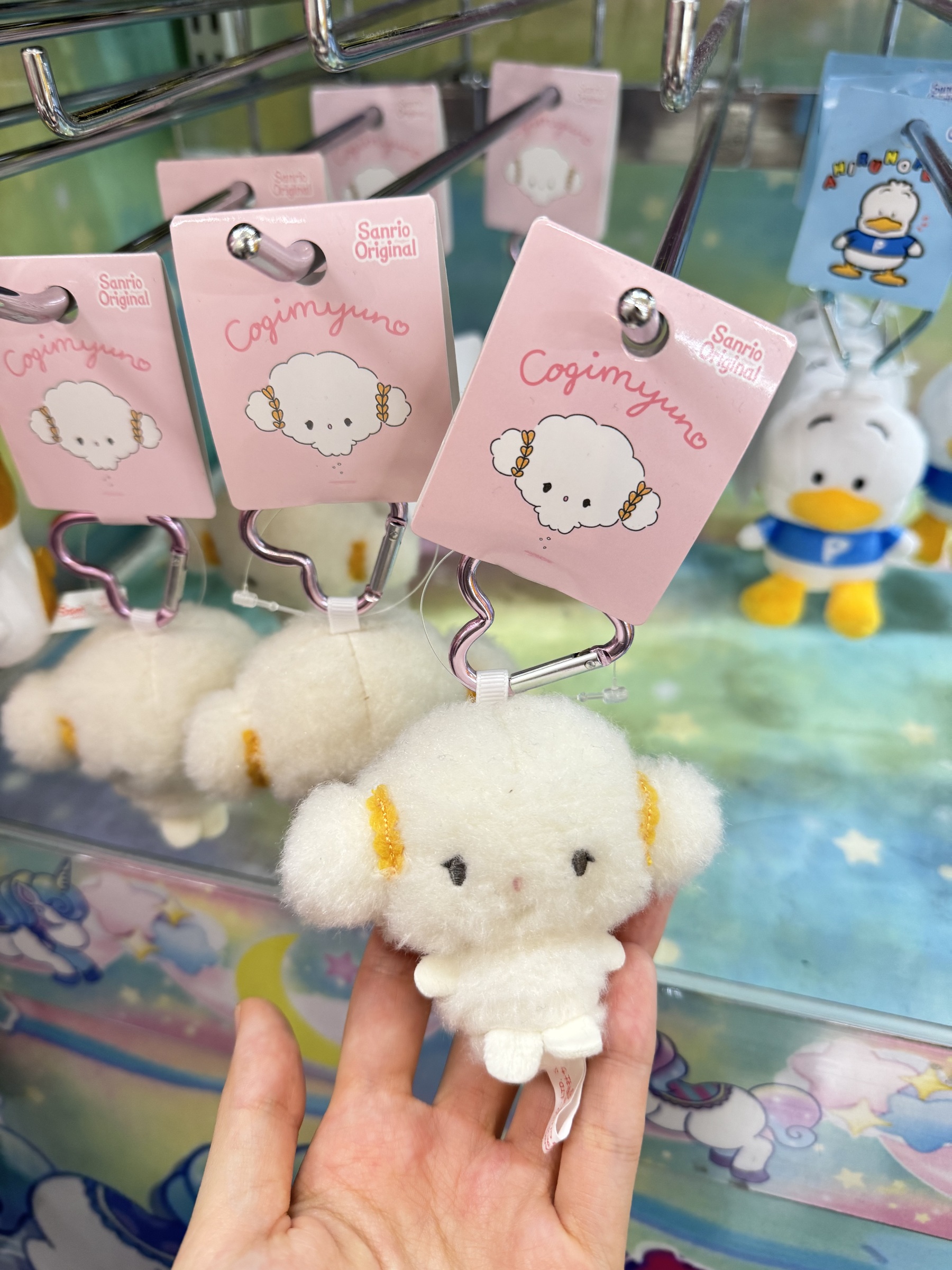 image_29F5CE99-9AE9-42C5-9E22-83334DF8923D_1740994729