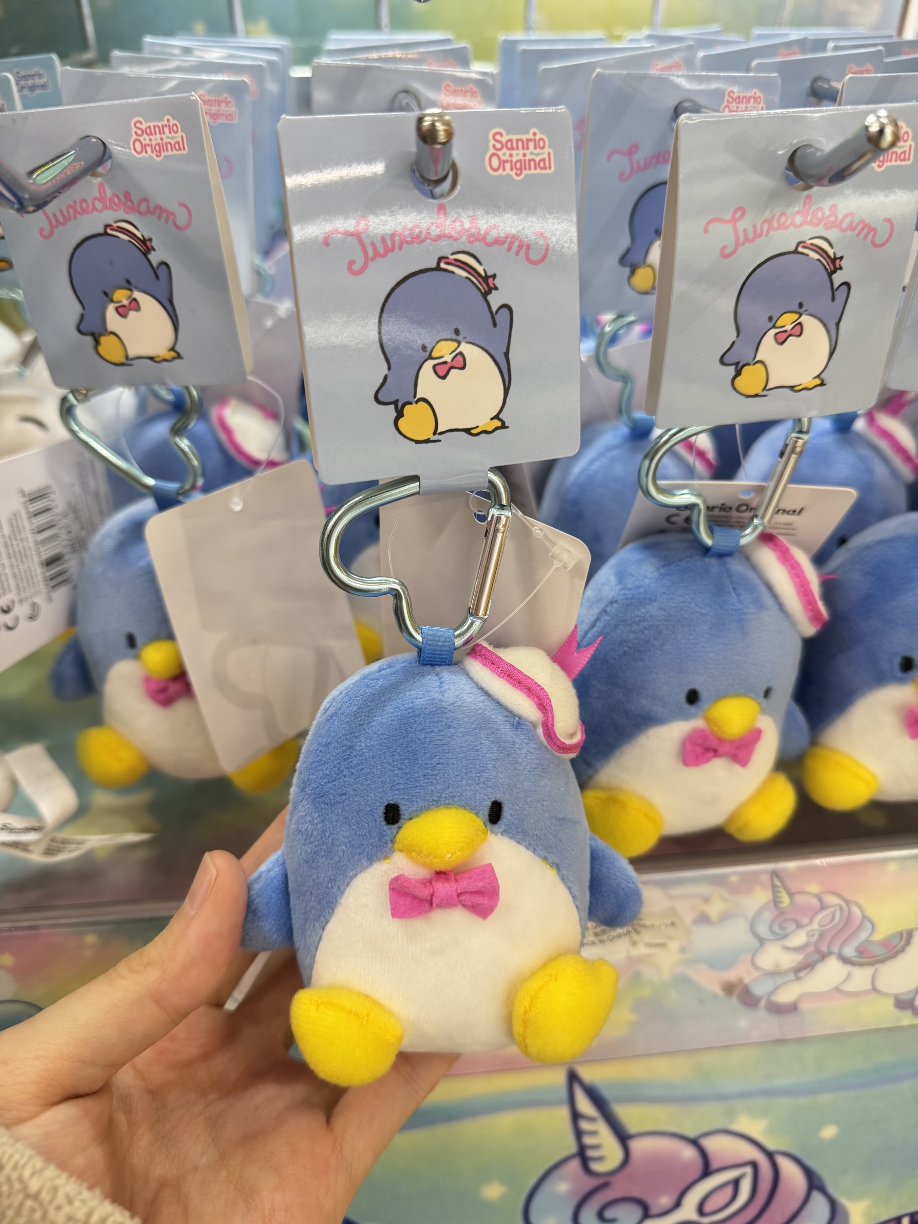 image_370875E8-4A07-4298-BD65-F0B203CAFB34_1740994729