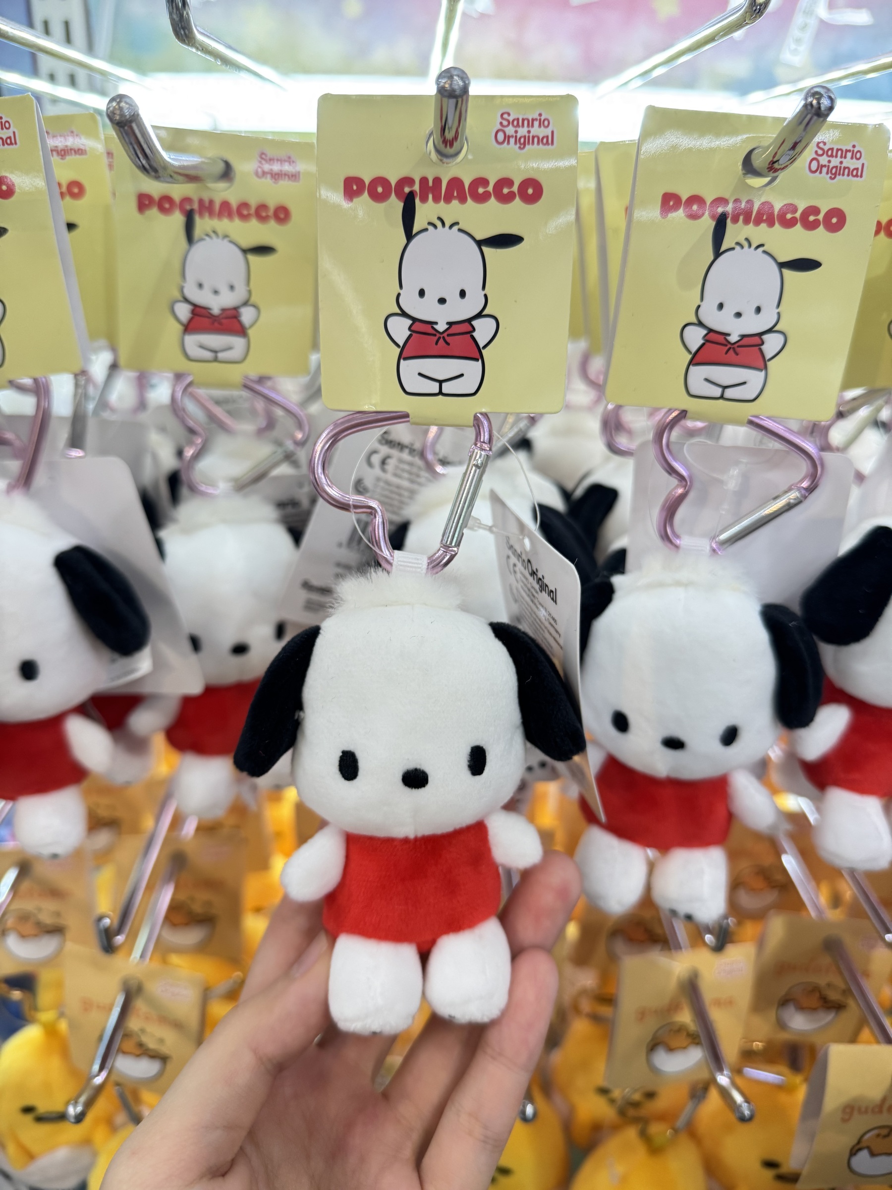 image_228E66CA-B78B-4619-BC20-3B91C068FDAC_1740994729