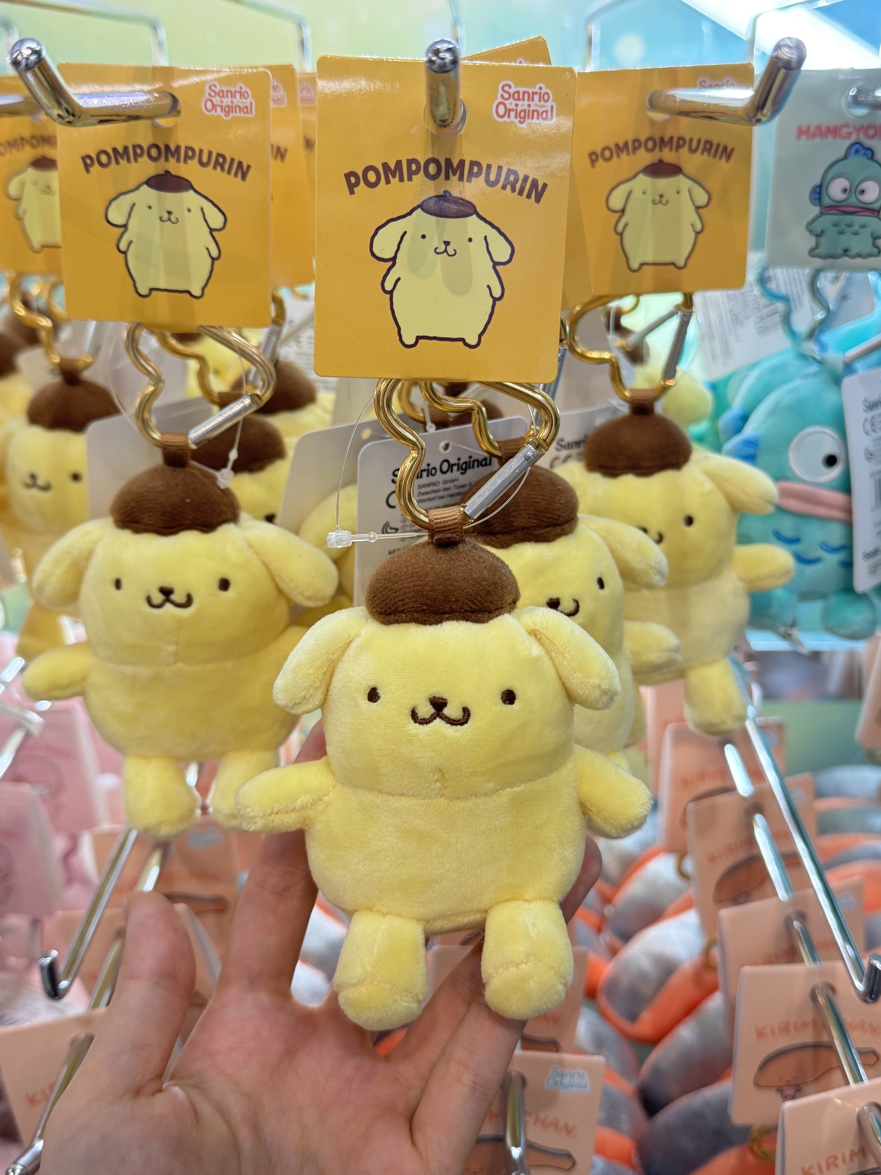 image_D1553950-35F3-43DD-8C7E-2CB0DDA62B2A_1740994730