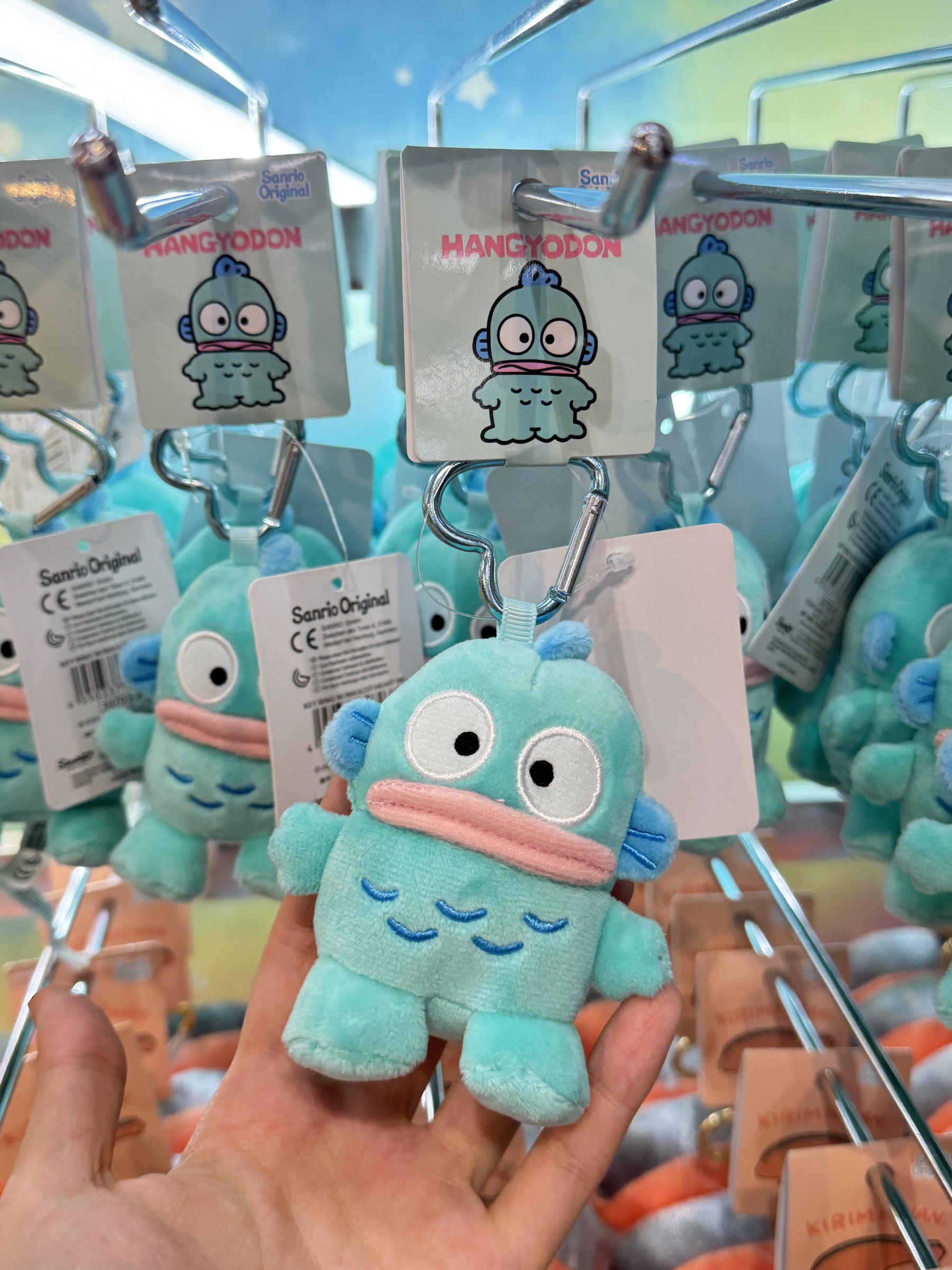 image_E4A9F726-E4FA-435B-BBC6-68821EC2091D_1740994730