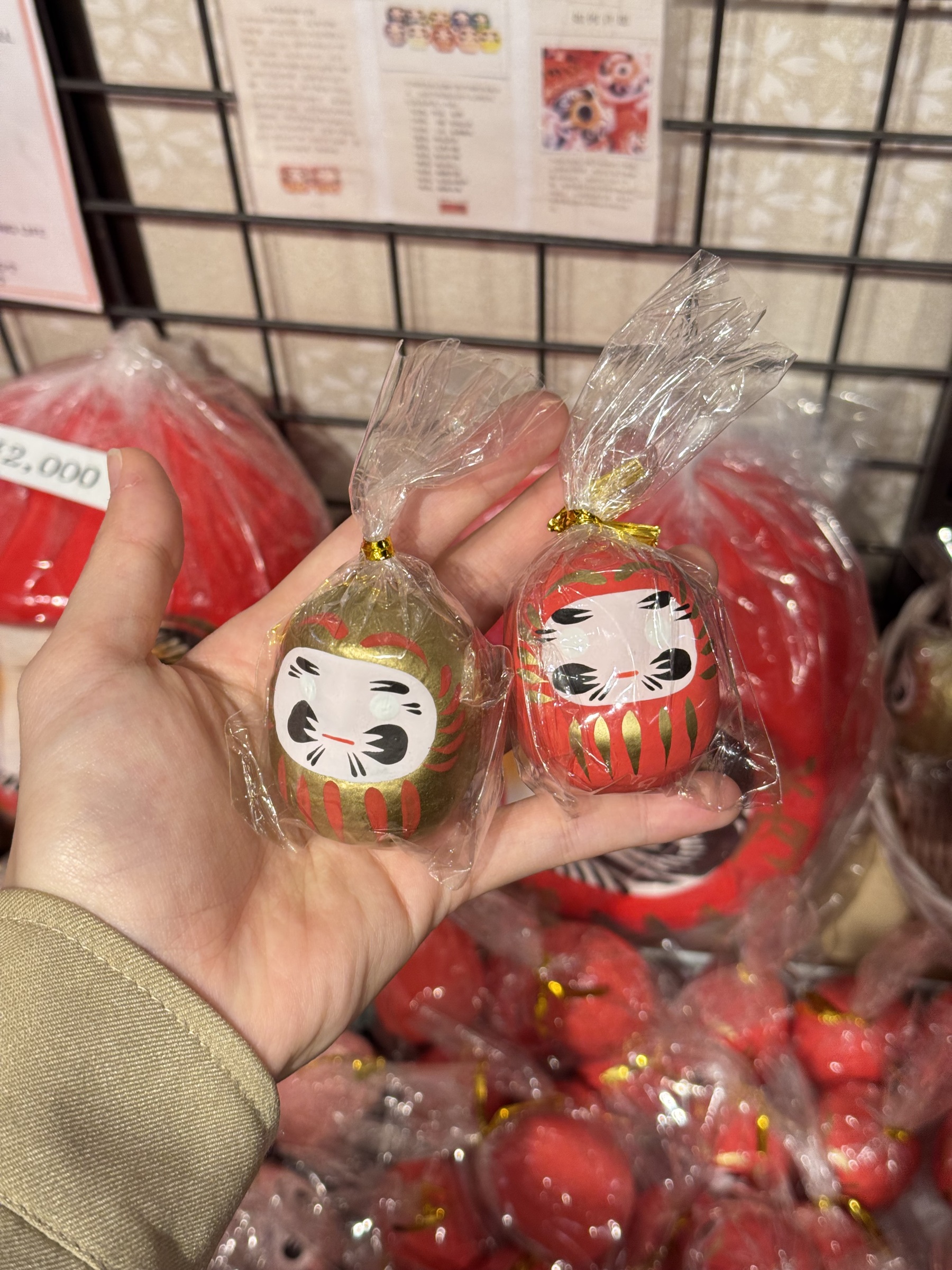 image_837ED9AD-766F-462E-B99C-7690A28B6B8E_1744446915