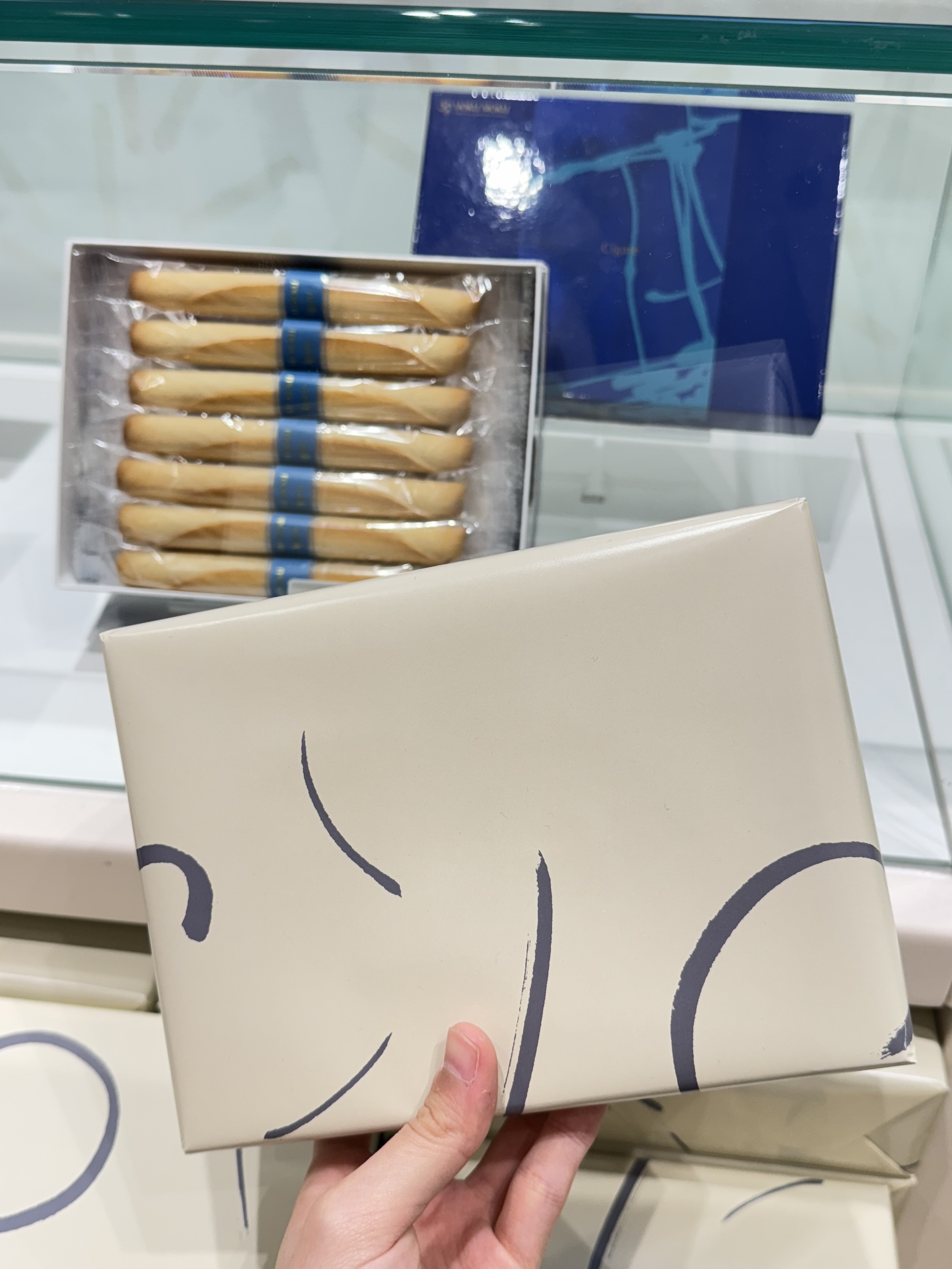 image_7D241340-D5C0-476F-87A3-A60C6ECFE9E5_1744952205