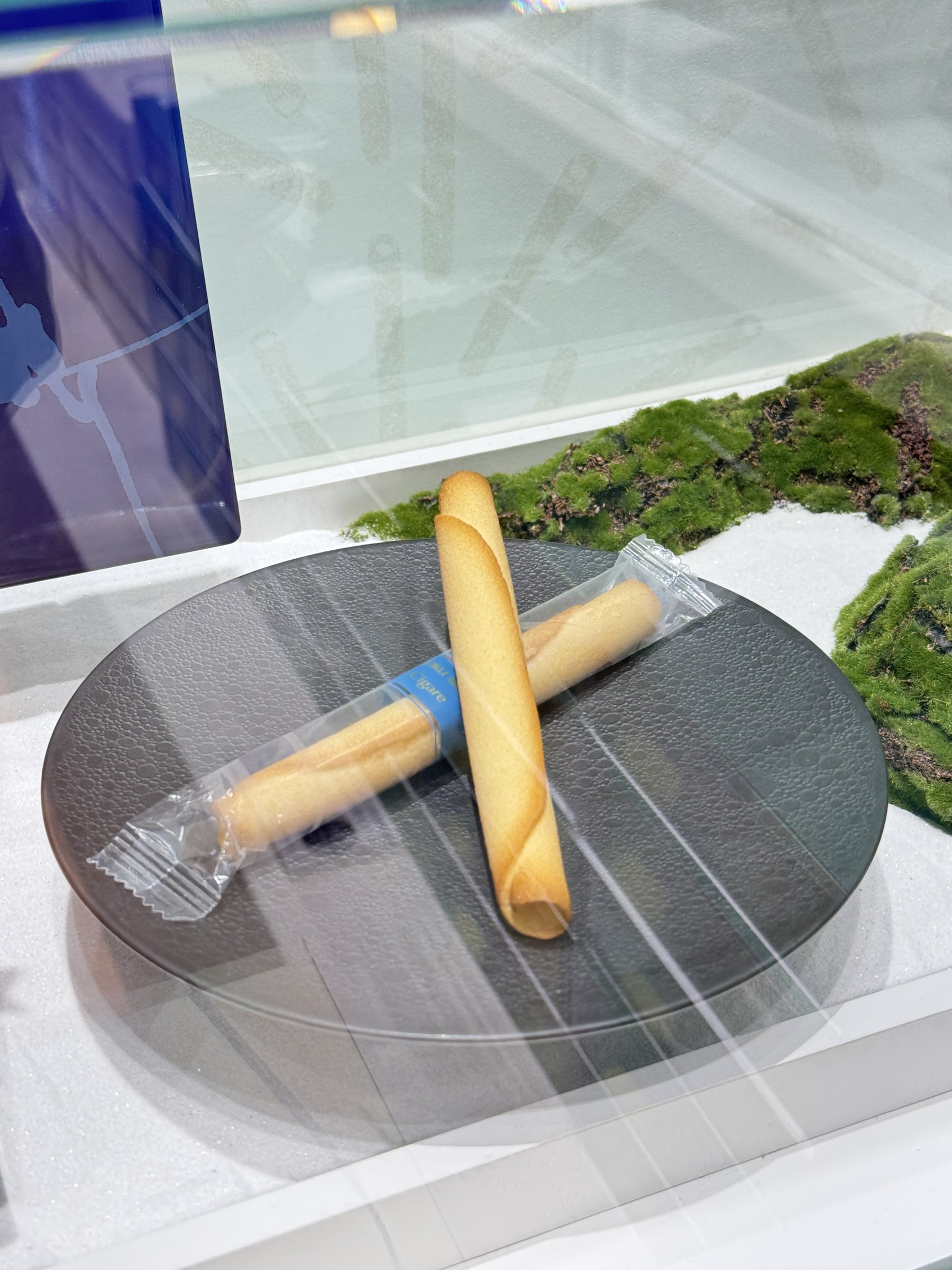 image_F80707E4-5C41-4522-B363-CF74D9643BB1_1744952205