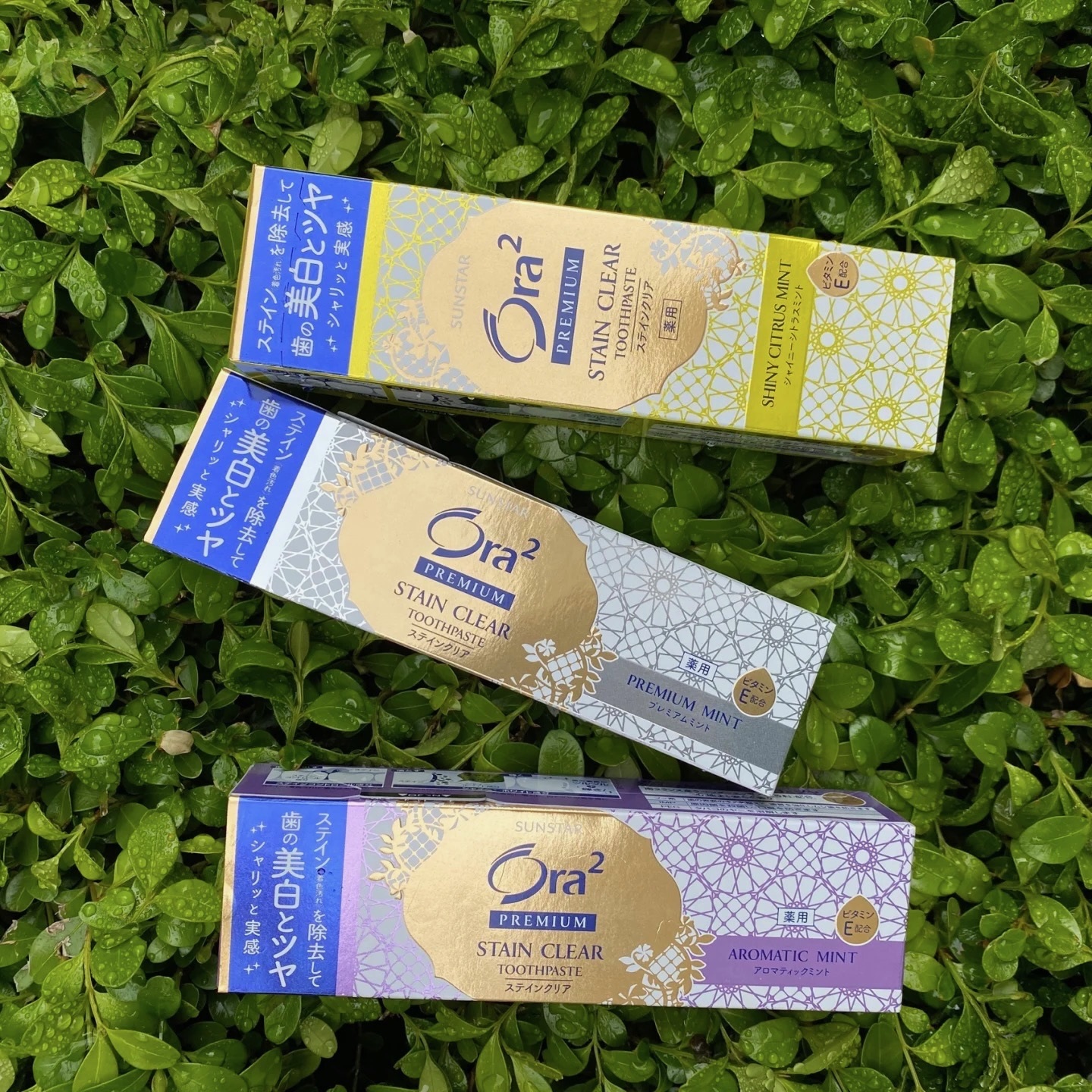 image_E582EA54-DD66-4630-8FC8-07A5857493E4_1748447130