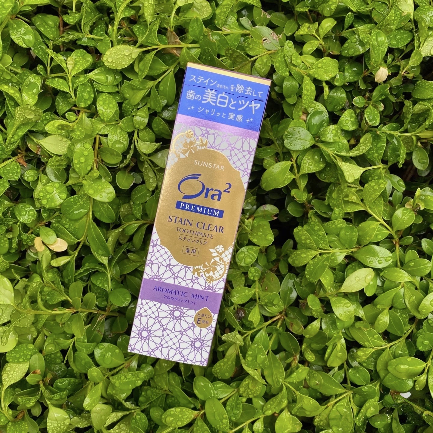 紫色- 薰衣草薄荷味