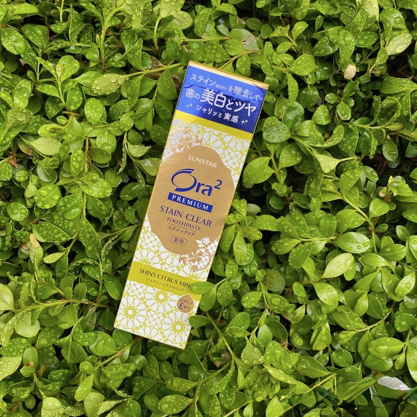 黄色- 柑橘薄荷味