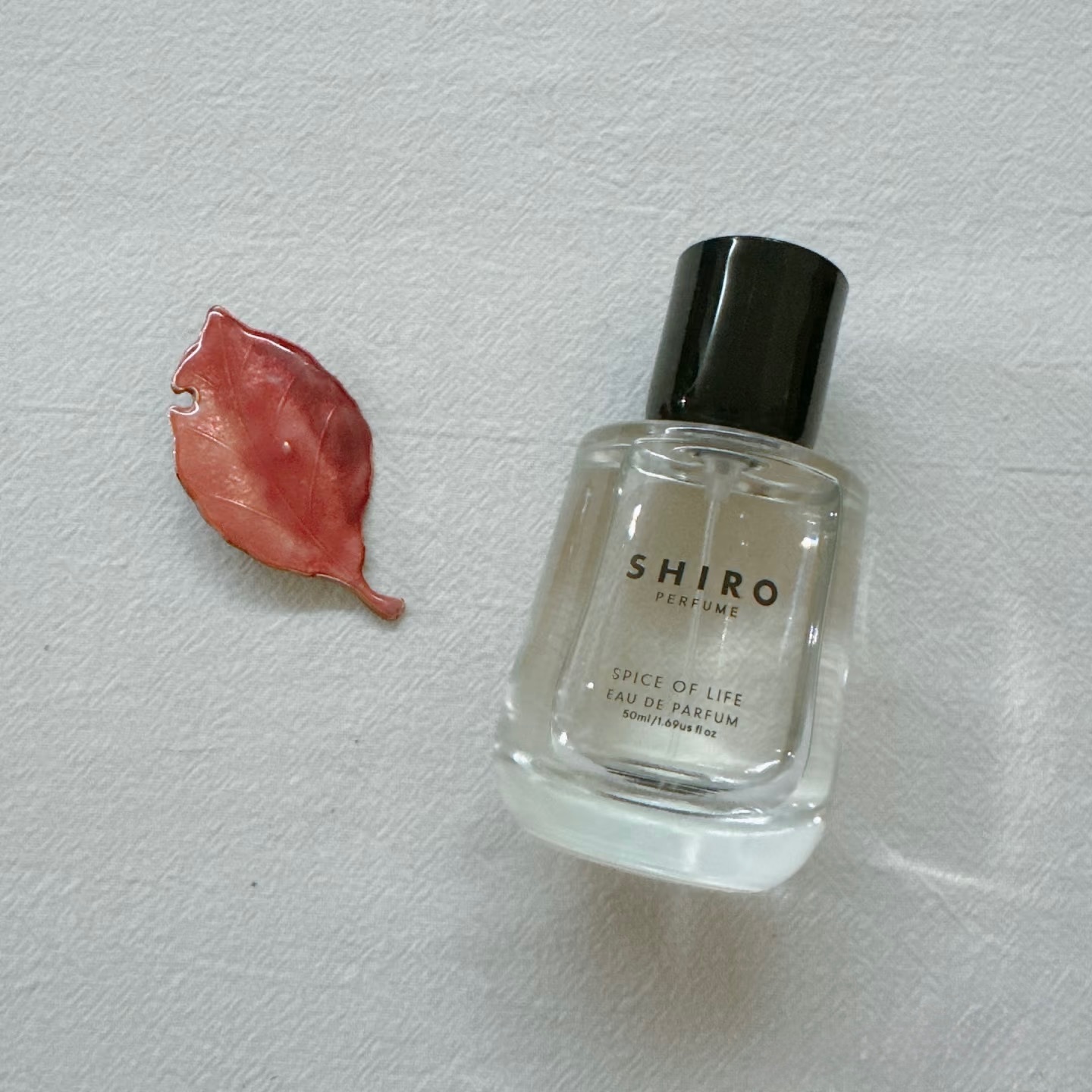 image_42A7703E-CA88-4560-9F14-7F6F6A0AA0DF_1748453705