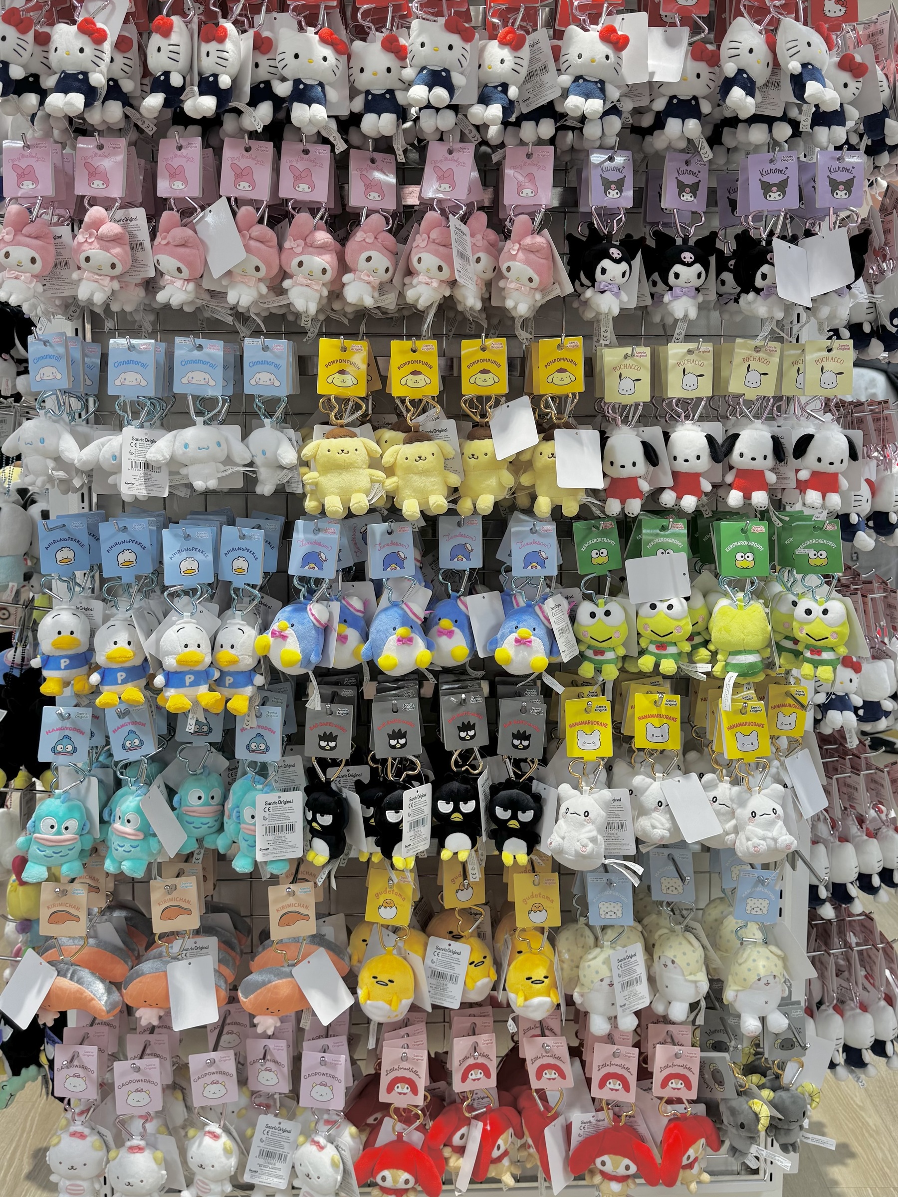 image_85B8A821-54E8-42C5-9294-CFEF0FB0F56E_1749141033