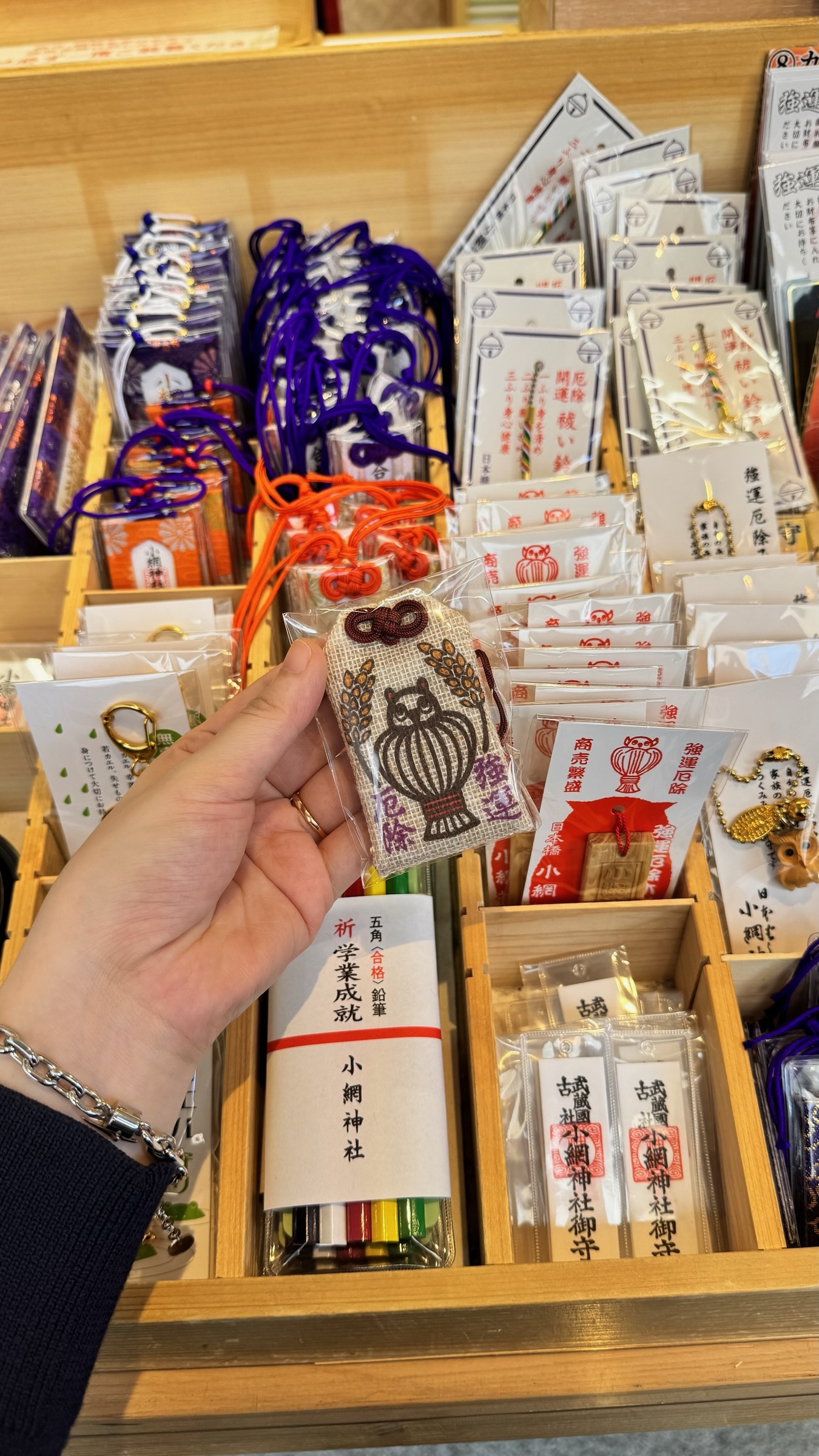 image_55F18976-3E14-4E57-98CB-5B81C735581D_1749221186