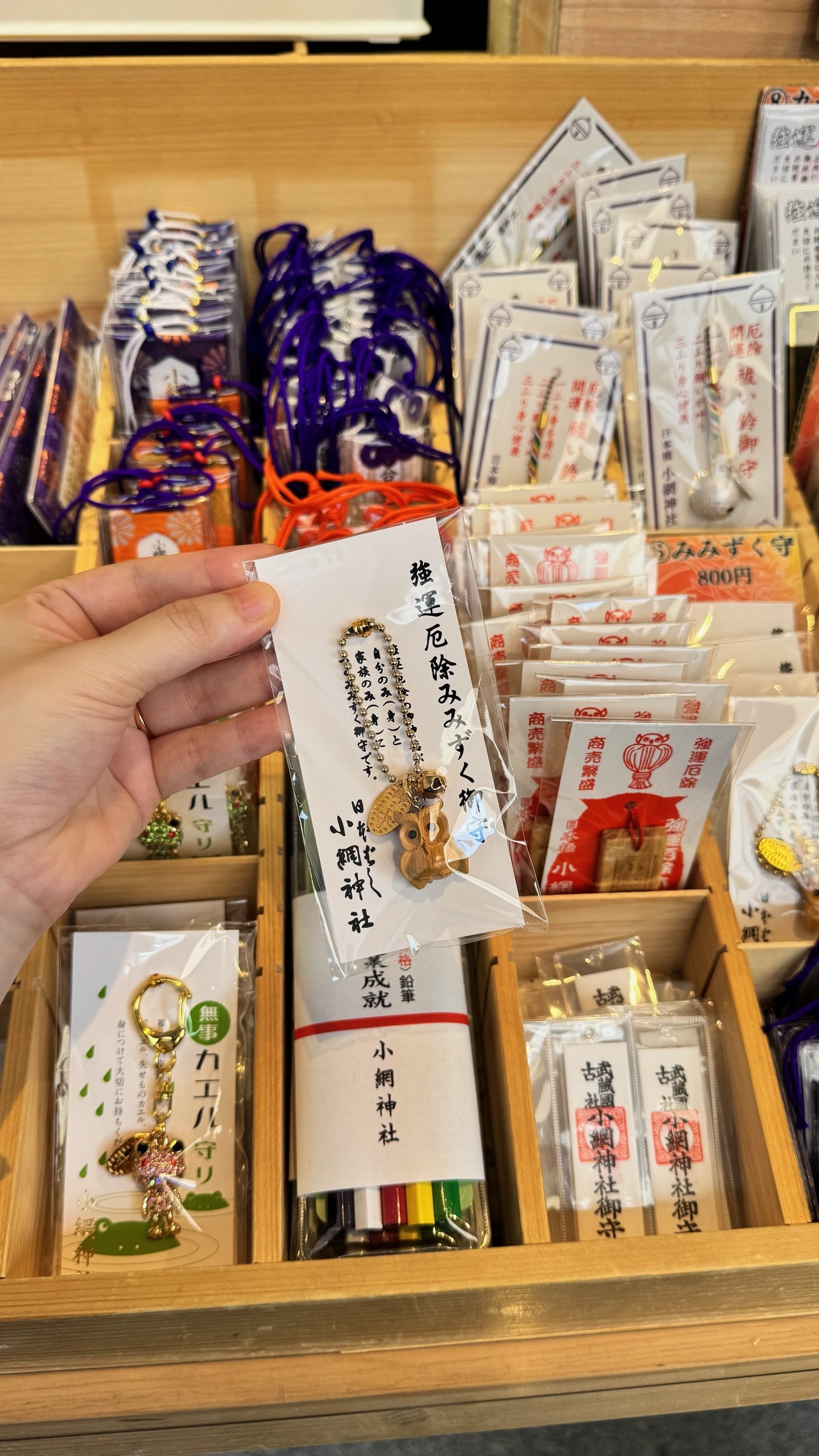 image_E557BEE8-10BA-49AA-B0B4-D162FAD1B982_1749222298