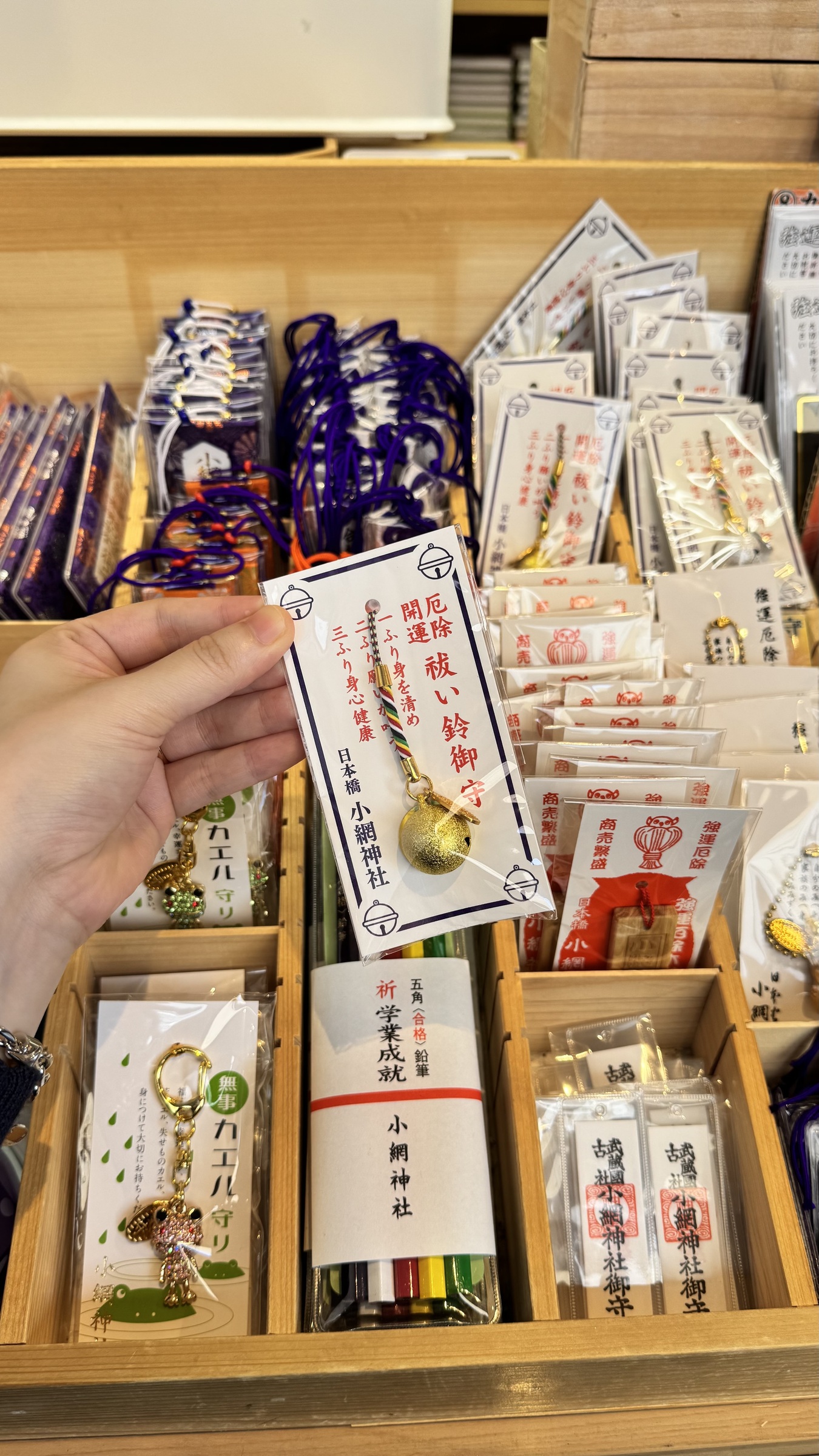 image_CF1F9C8D-5A4C-4B02-B257-BB045ED5A887_1749224172