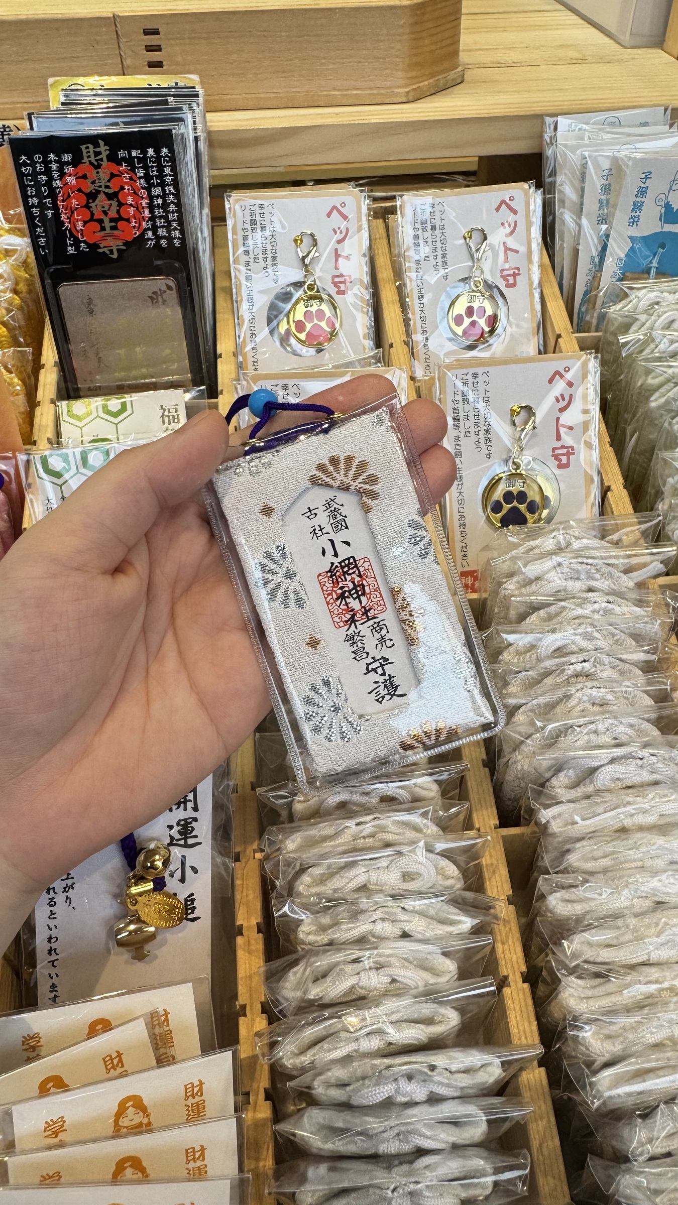 image_6D2242F7-0904-45FC-A842-A7C6E7B587C5_1749226683