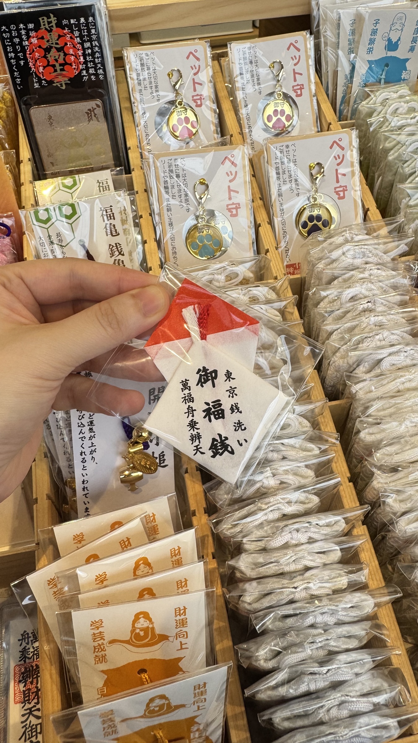 image_7985EE8F-3C50-4796-B460-551FE7EBC1E3_1749226884