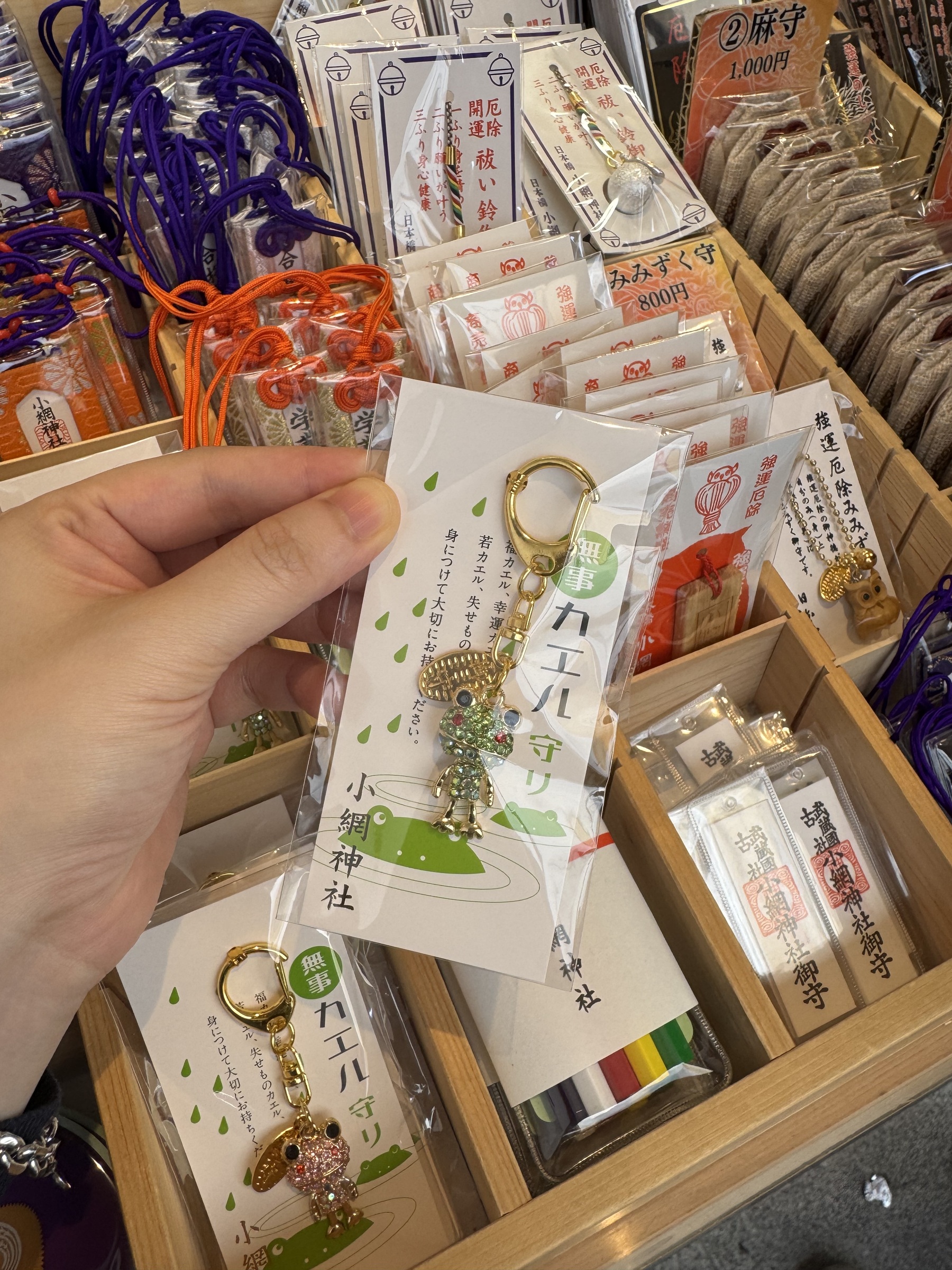 image_E6CAB114-6236-49D6-863D-C3658A943009_1749227240