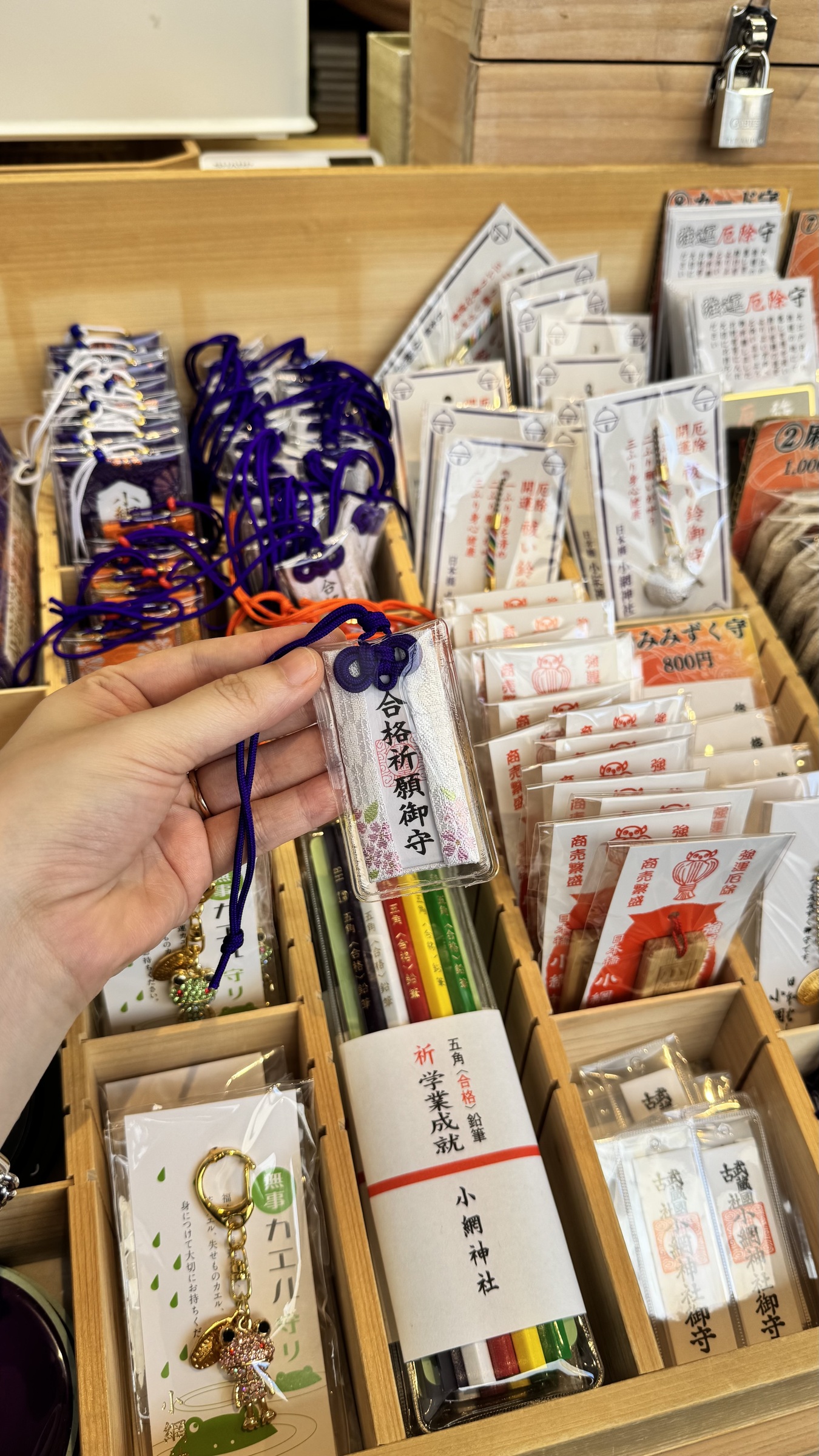 image_16C78047-7C27-4F87-8BFA-4F9C3A5A9965_1749228279