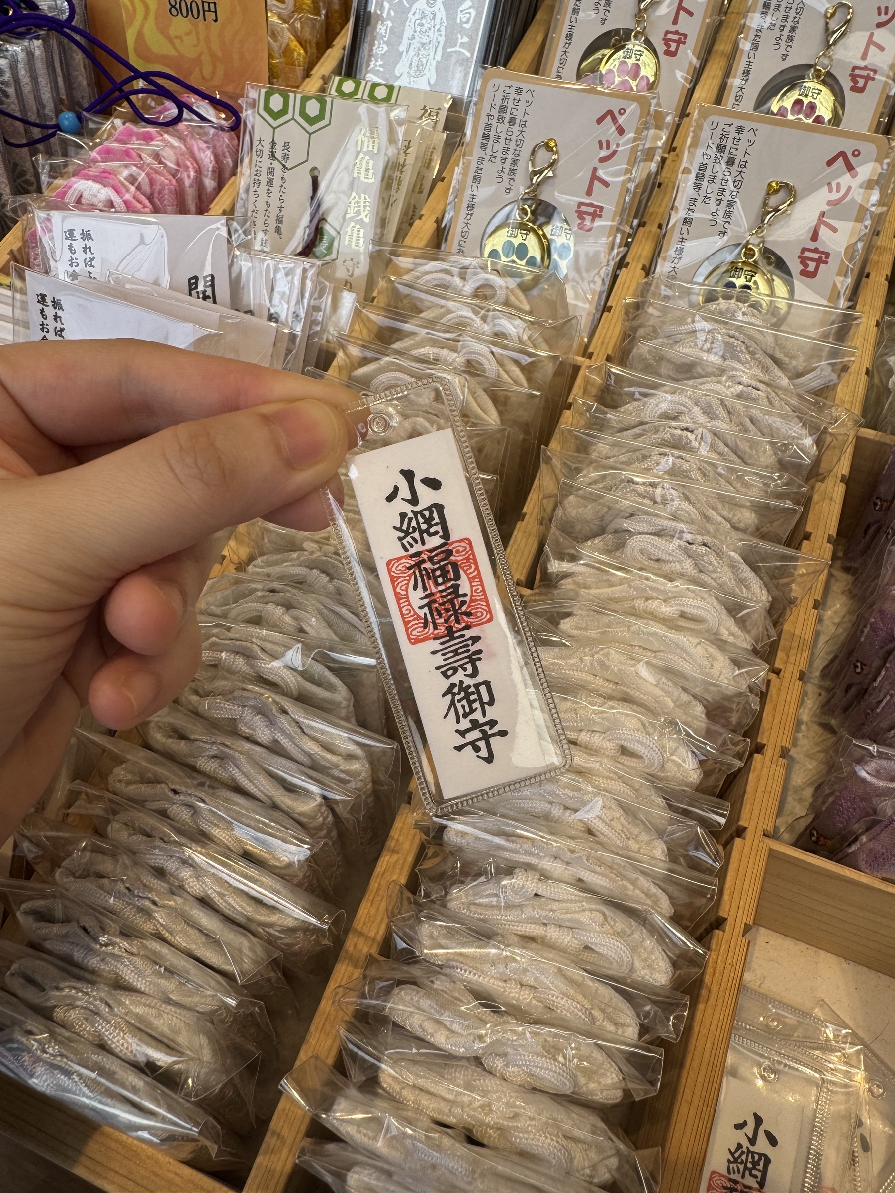 image_D8EDB092-AED0-4DC3-9C58-4221F43F7B0B_1749269707