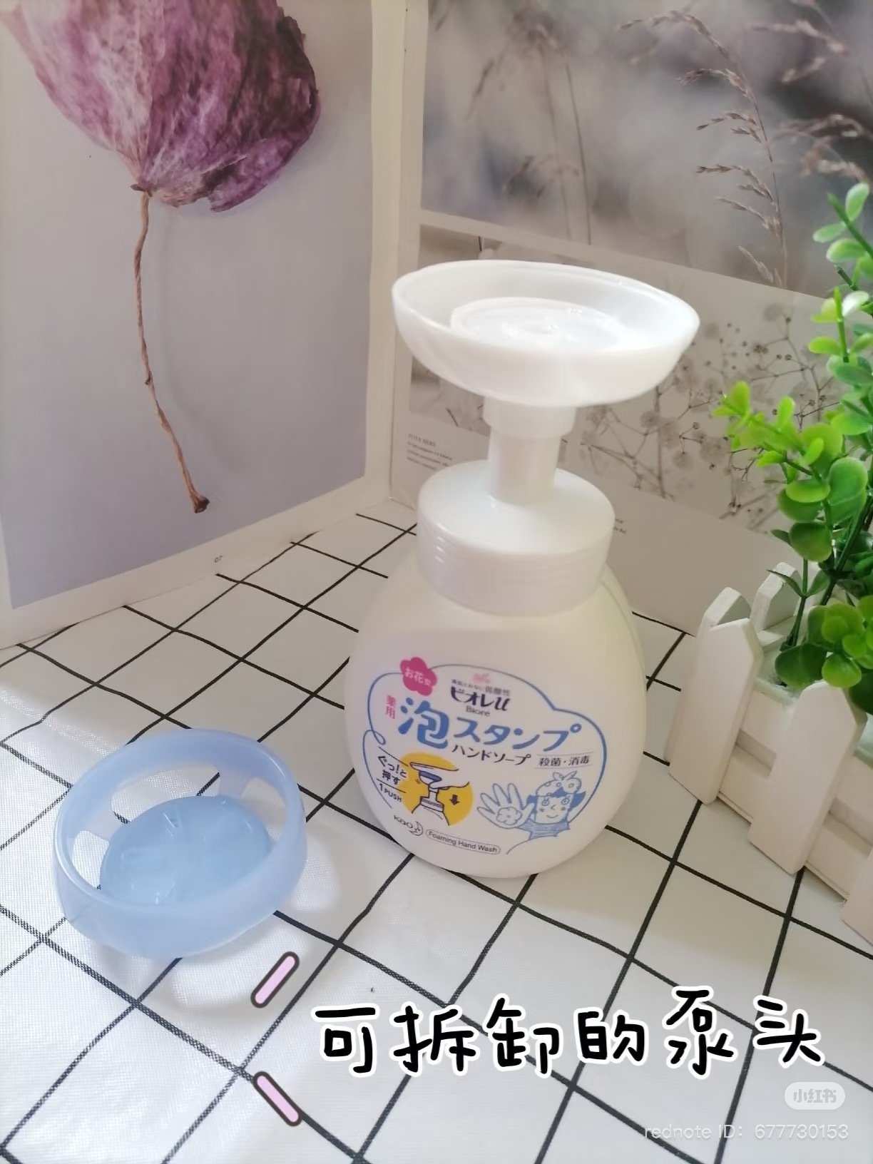 image_034CE607-CE17-4739-9B95-A384249ECC4A_1749669238