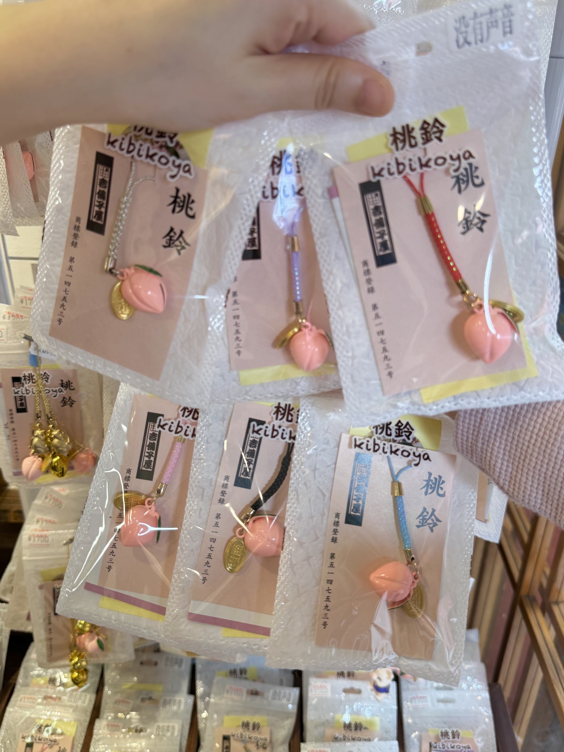 image_2C2E55CC-A7C3-4768-8FAA-320B43519692_1749740785