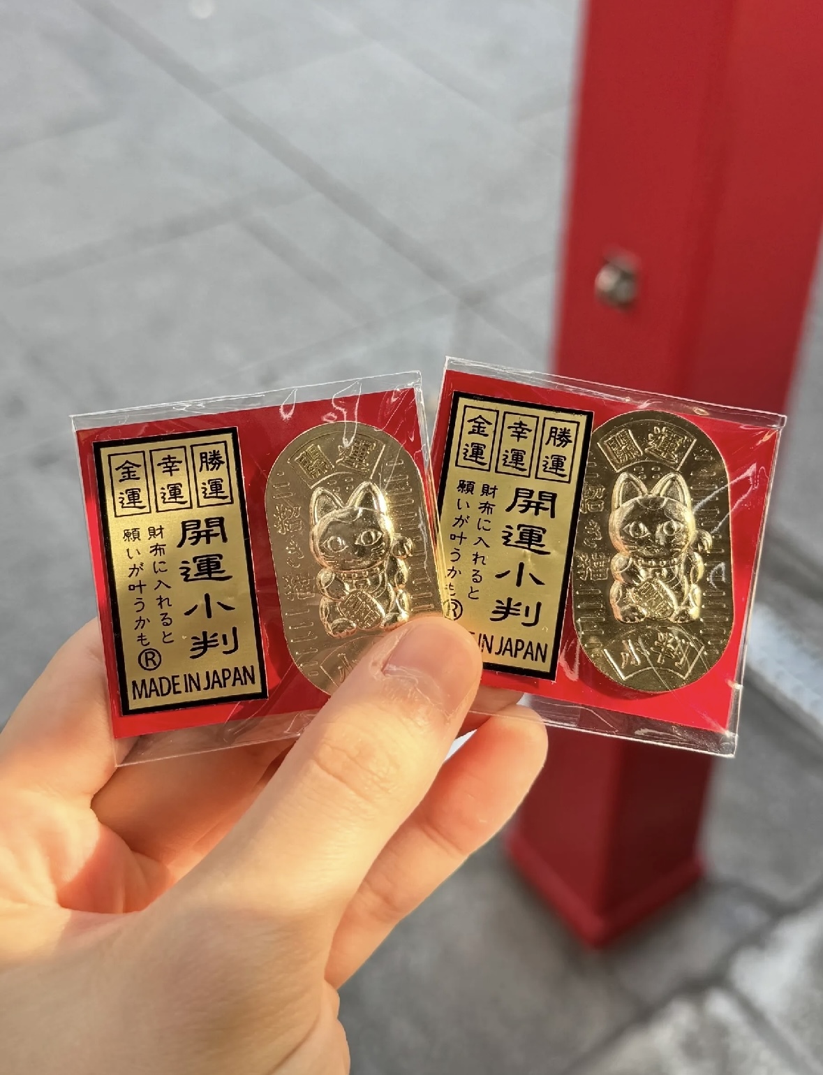 image_ED79604F-3C09-448E-80B4-D41FE7C3D78C_1749745102