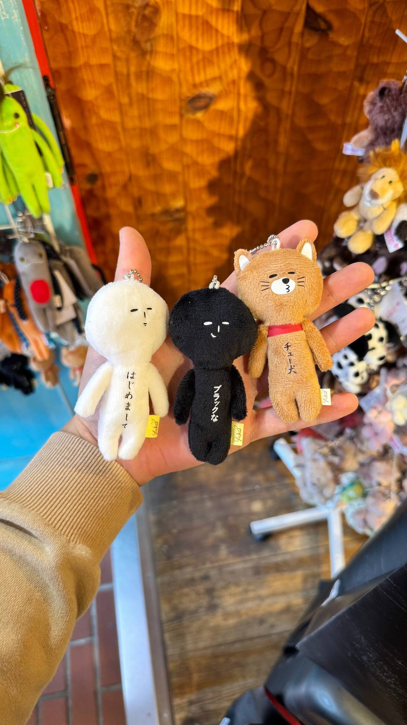 image_7593BEA4-7FDA-47DB-9A8B-F2D24EECDB6B_1749781200