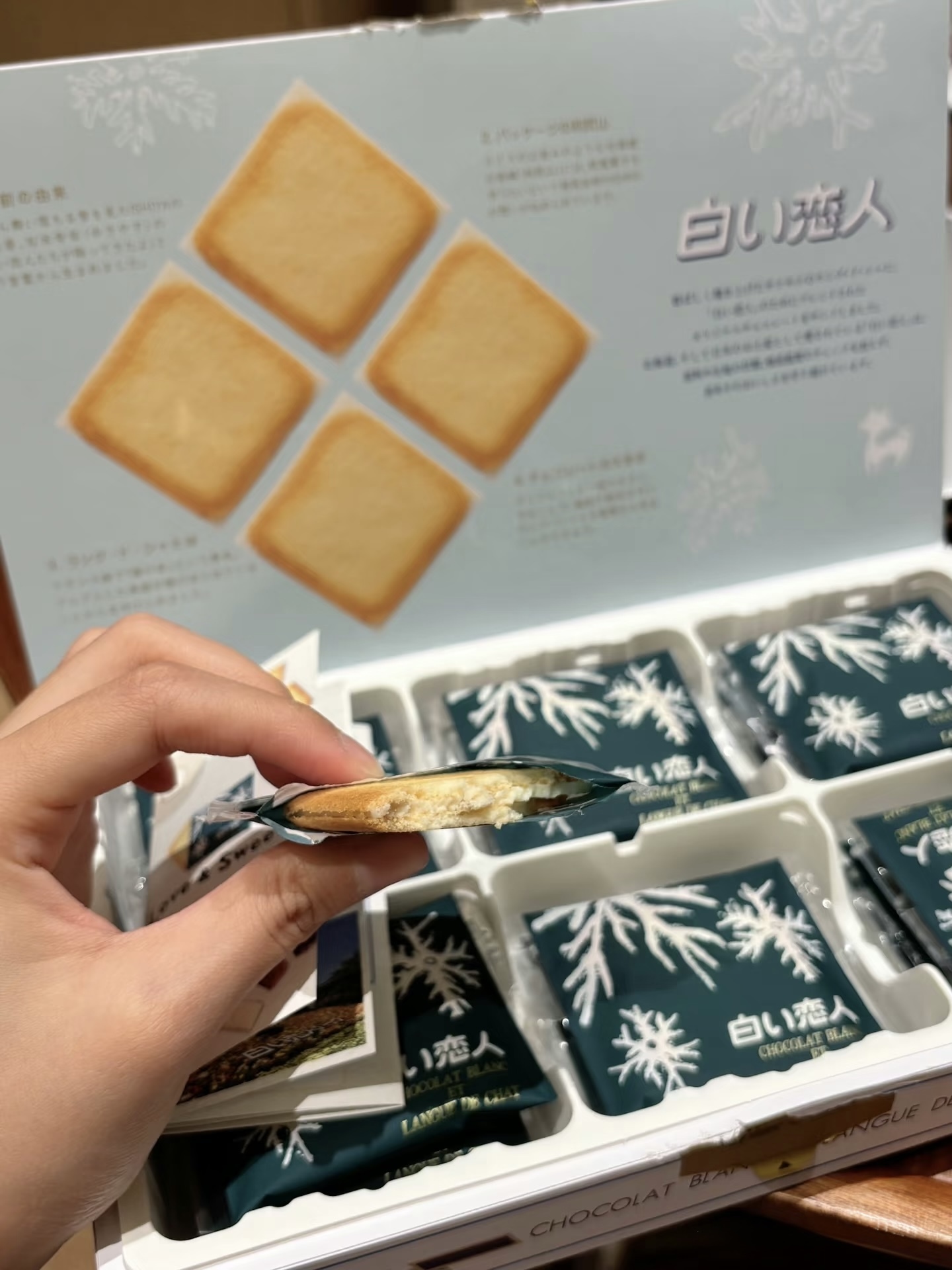 image_38173234-1A31-47AC-A45A-8DD9E66500D0_1749829962