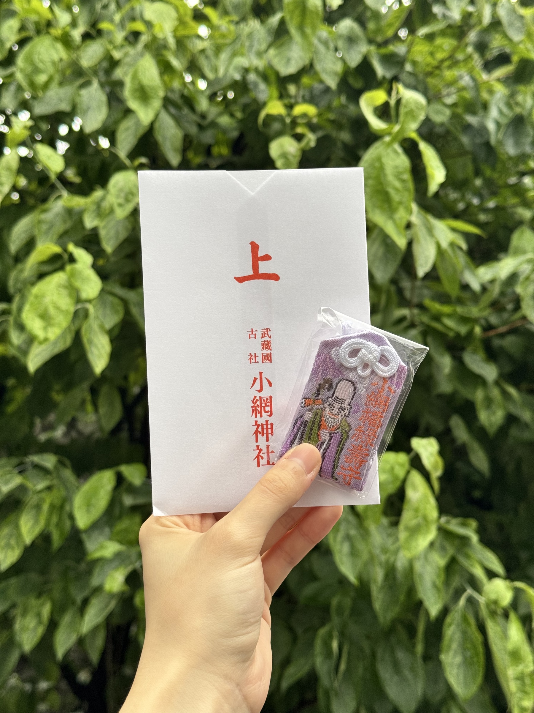 image_66EBC5C0-C5F5-40A7-B199-FF7E83289B0C_1751436489