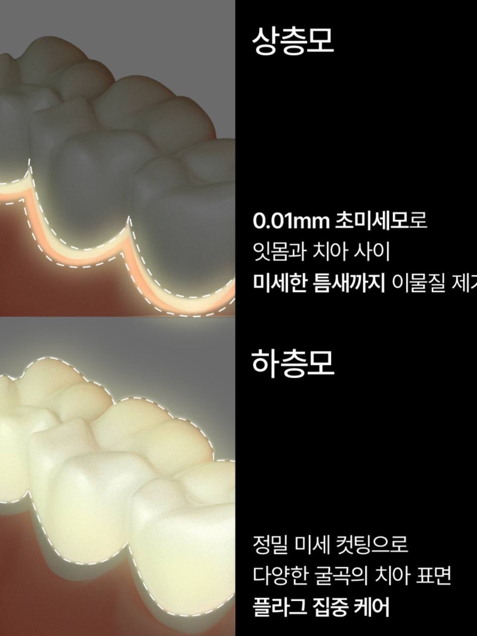 image_8CA11702-E56B-4A82-9F90-F796ABA2E479_1752425981