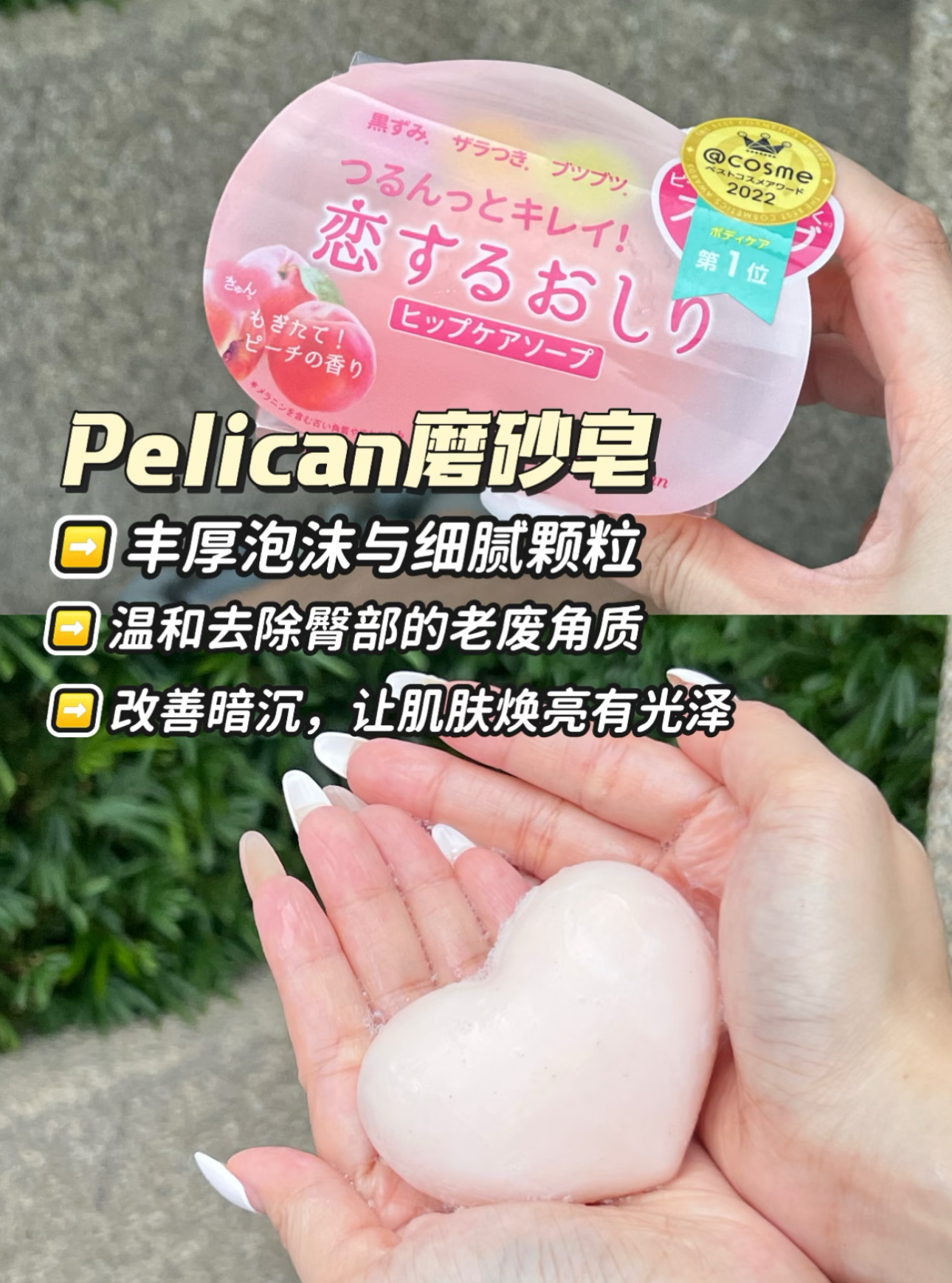 image_084E185F-85A0-49B5-8A1C-8A37DE021C9A_1756532154